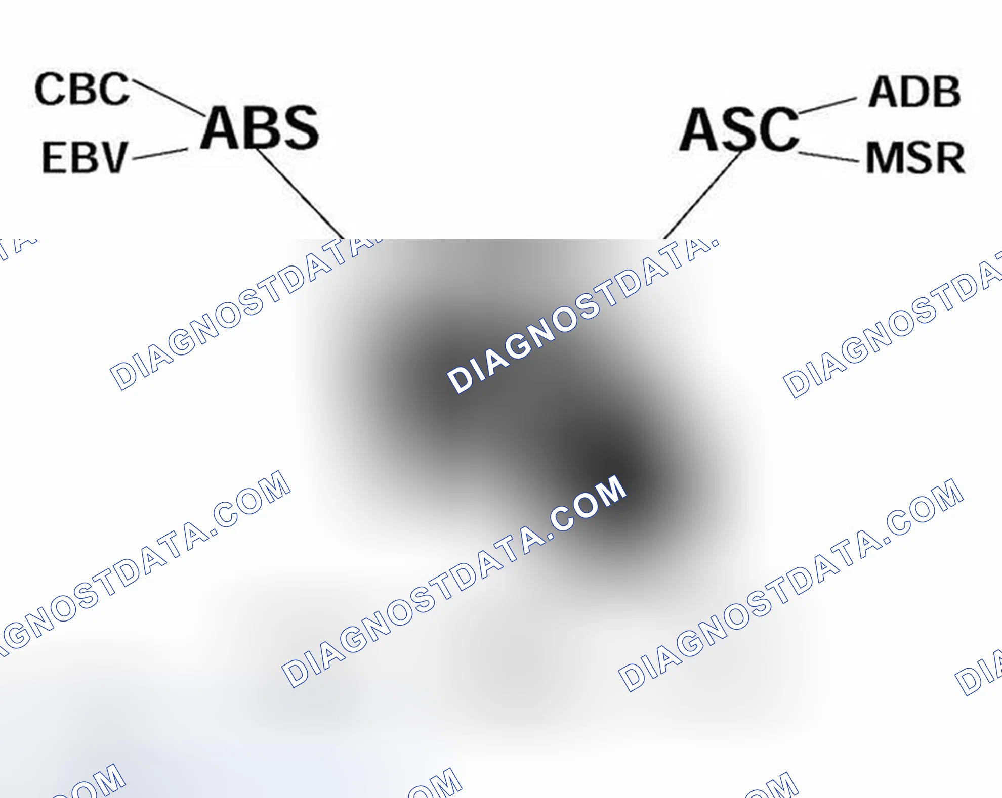 Scheme 6: Identifying MK60 DSC III Inputs/Outputs