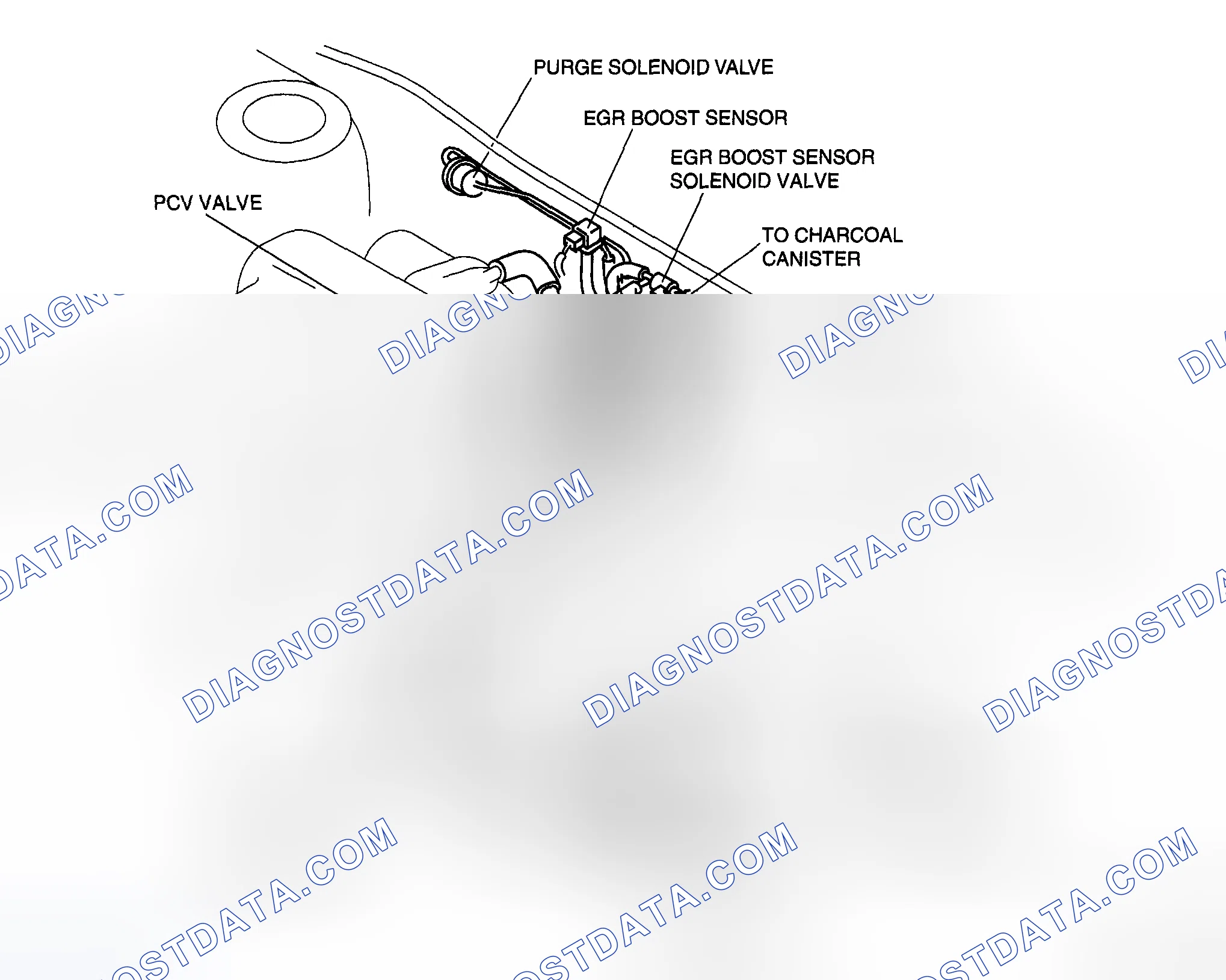 Scheme 189: VACUUM HOSE ROUTING DIAGRAM [AJ]