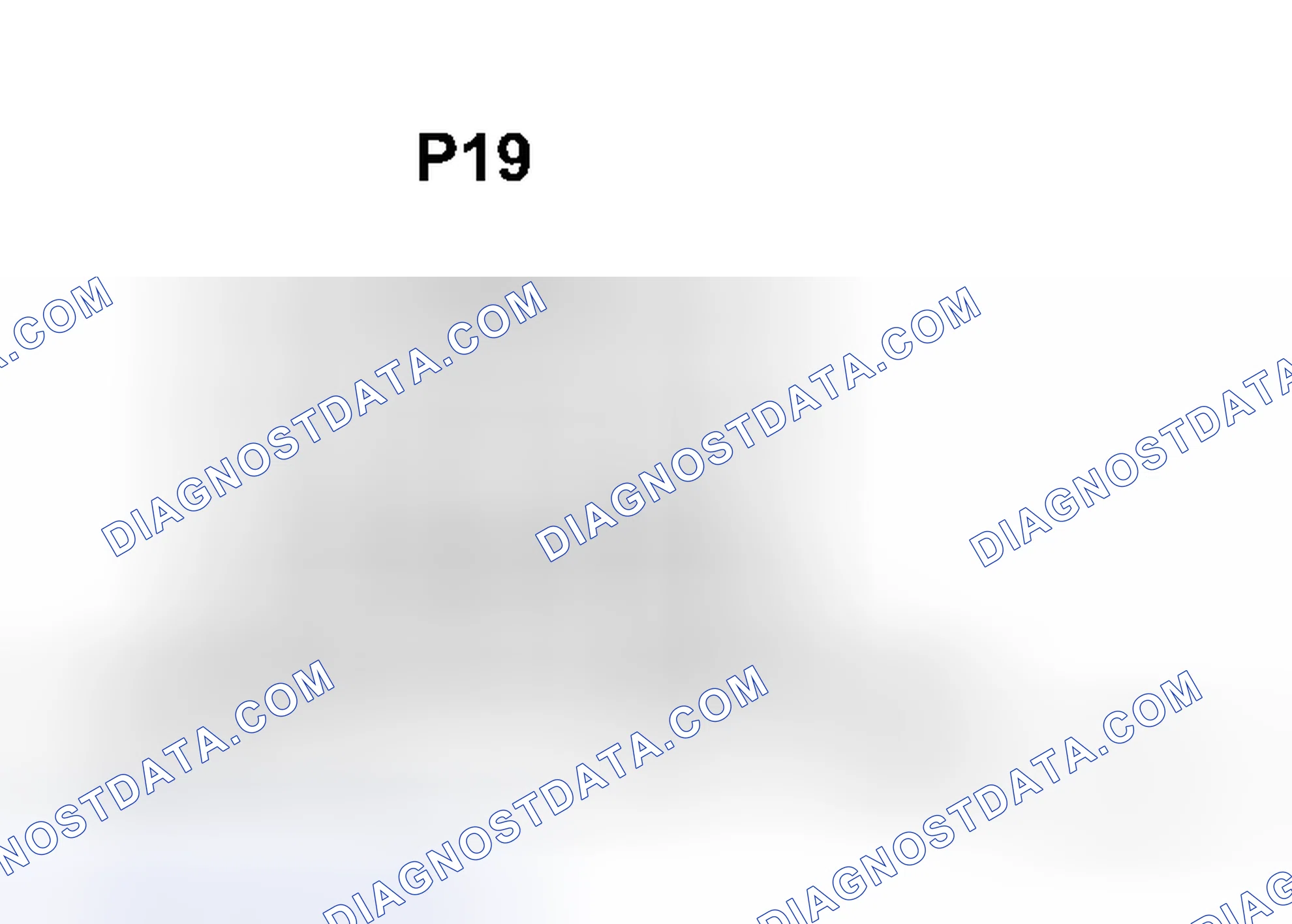Scheme 4: INSPECTION PROCEDURE