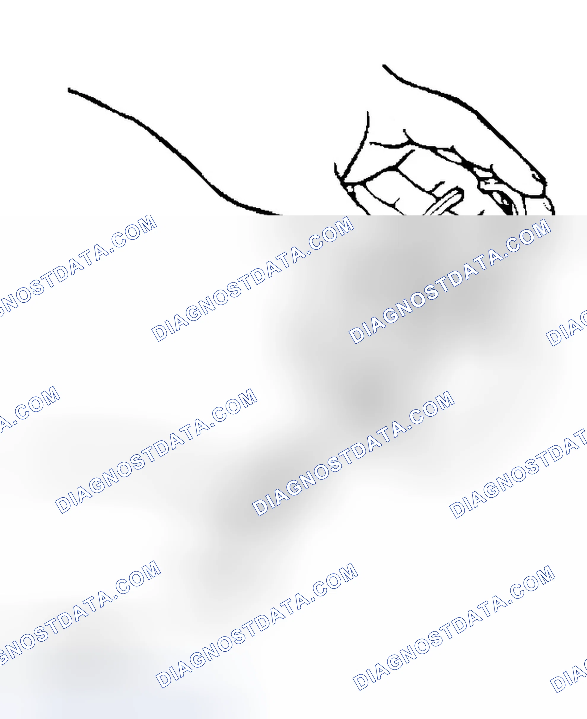 Scheme 487: PISTON RING