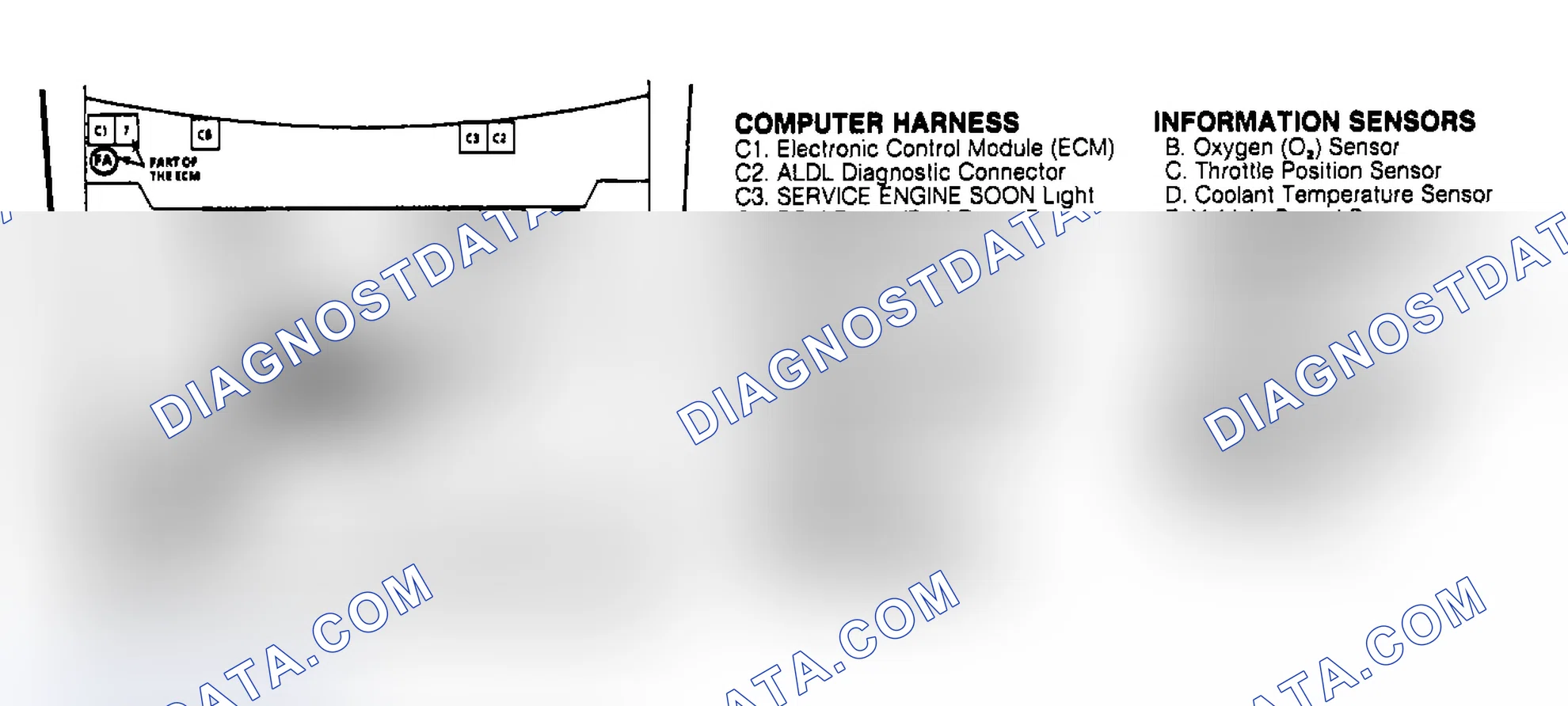 Scheme 237