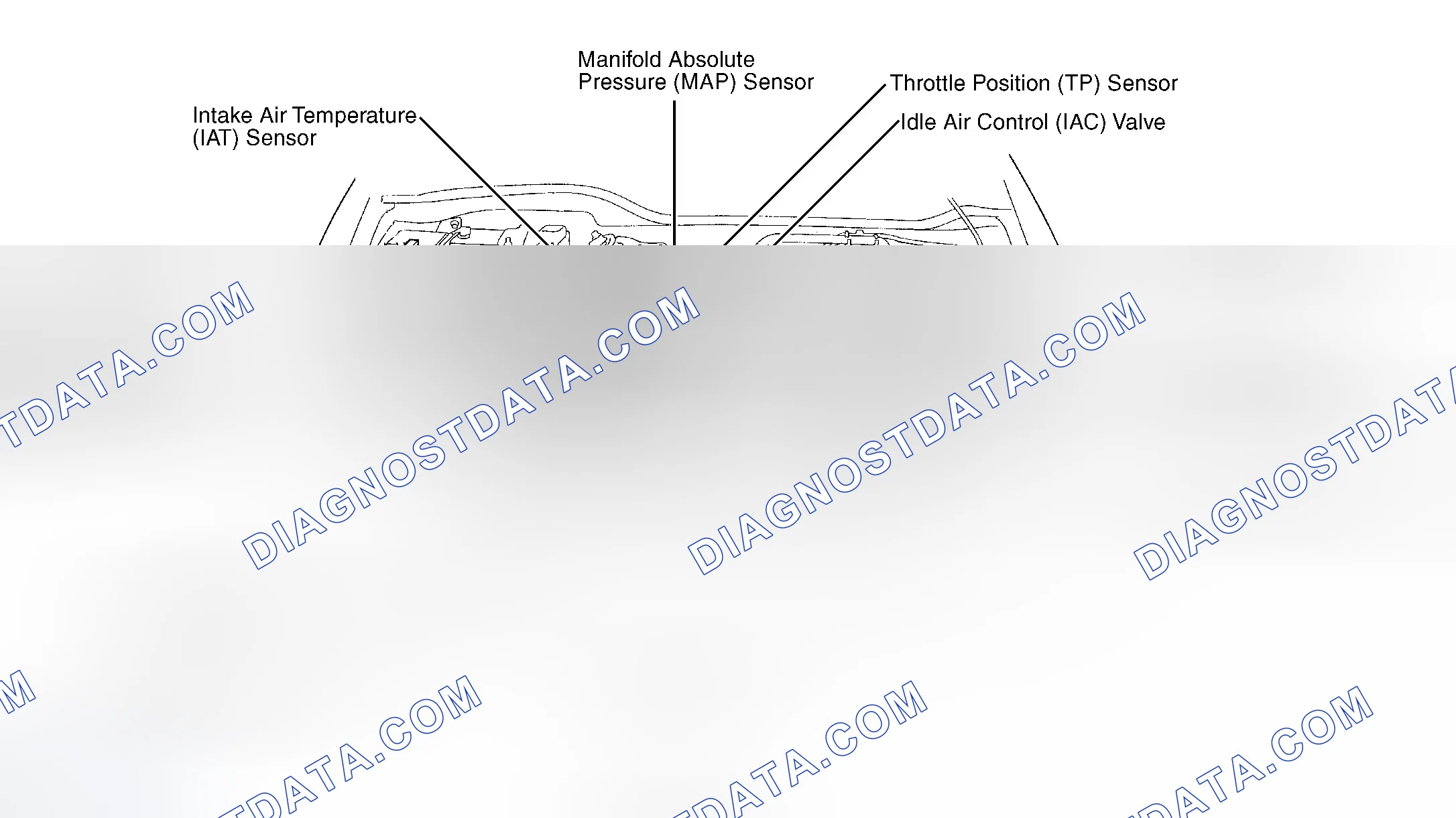 Scheme 2: Engine Compartment (1.6L DOHC VTEC)