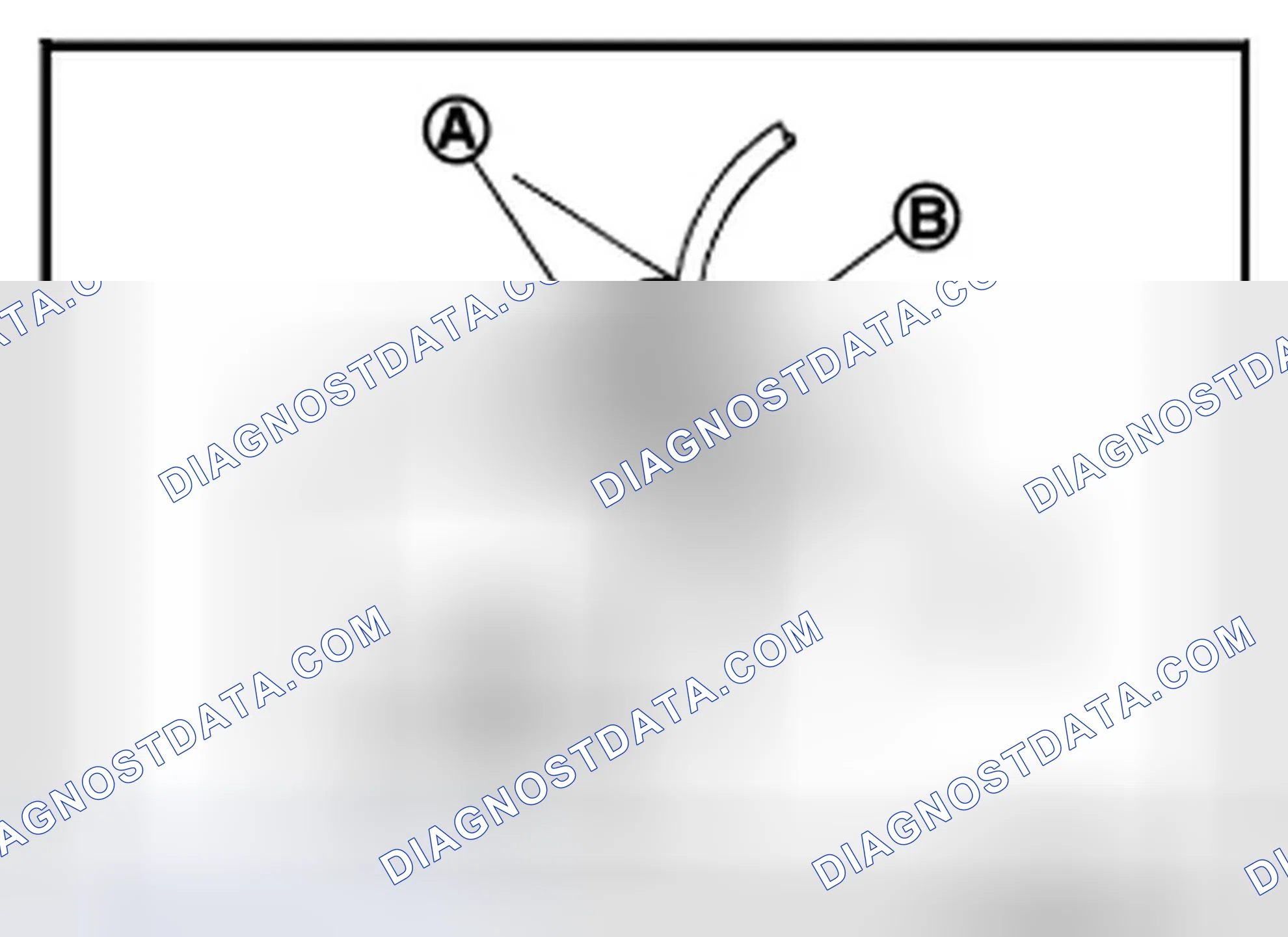 Scheme 5