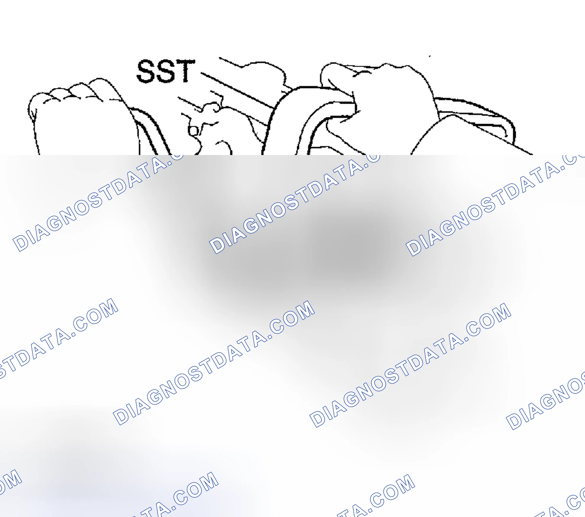 Scheme 100: DISASSEMBLY