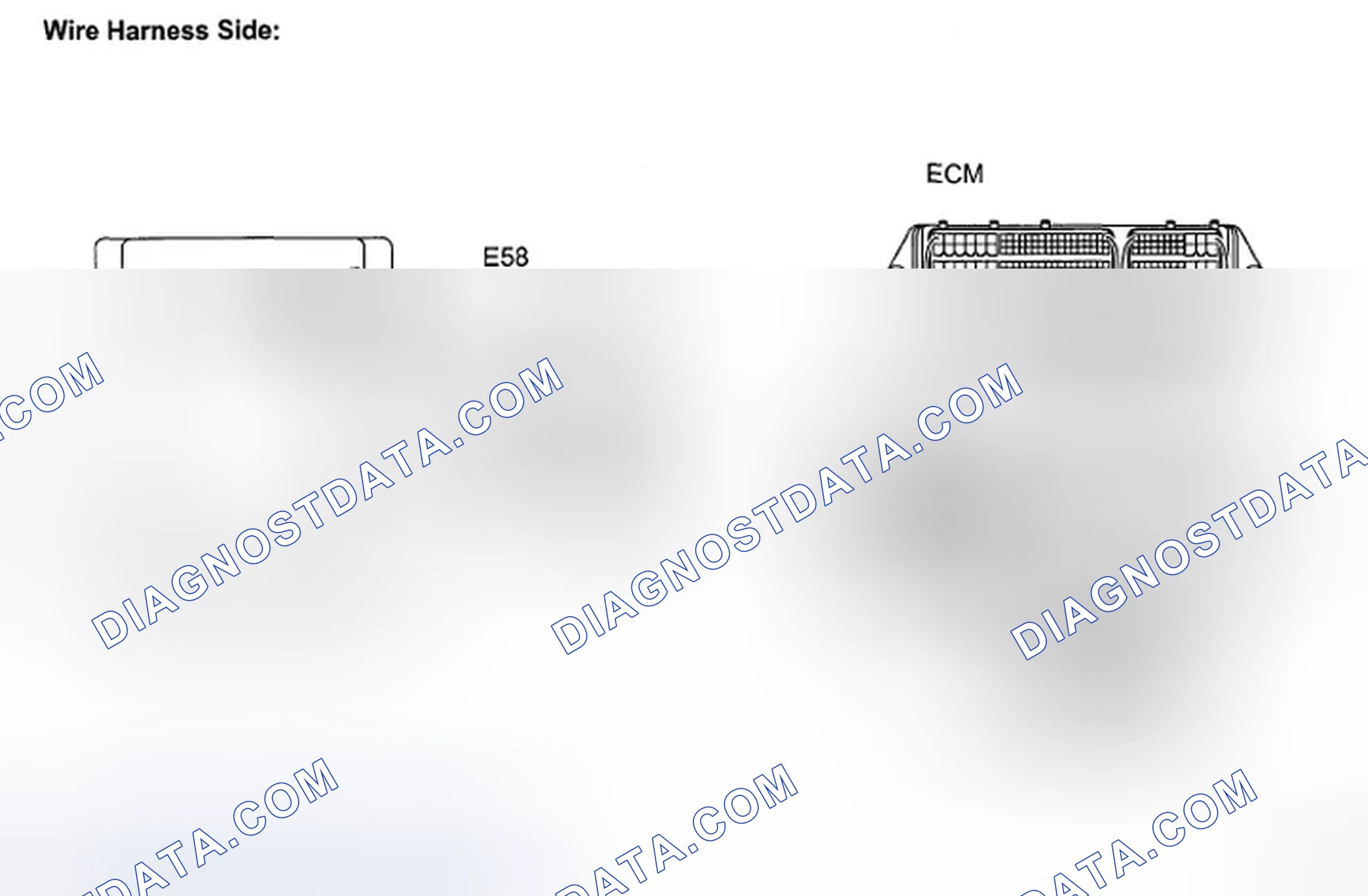 Scheme 20: INSPECTION PROCEDURE