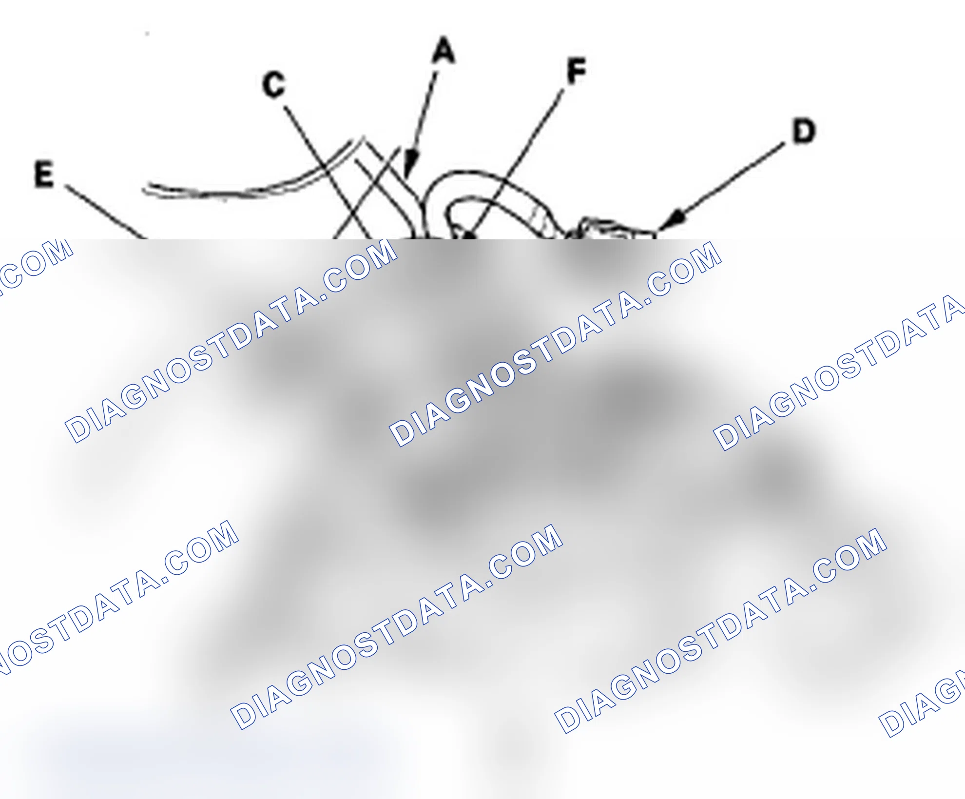 Scheme 107
