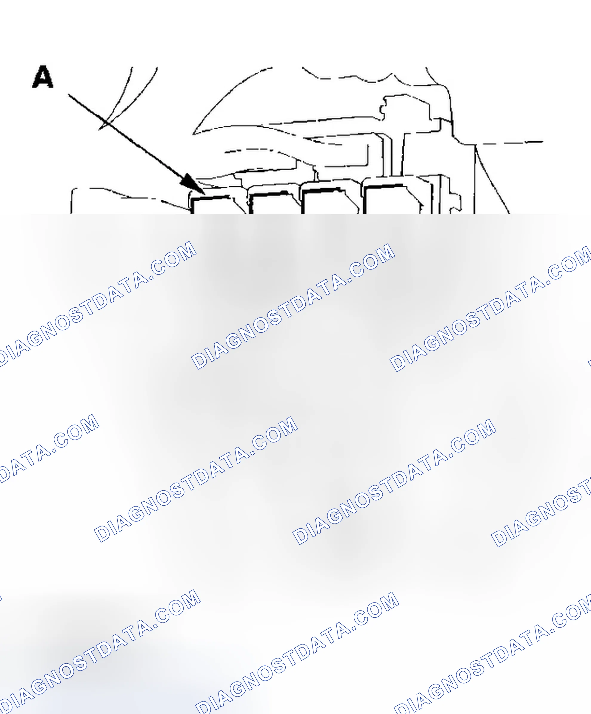 Scheme 519