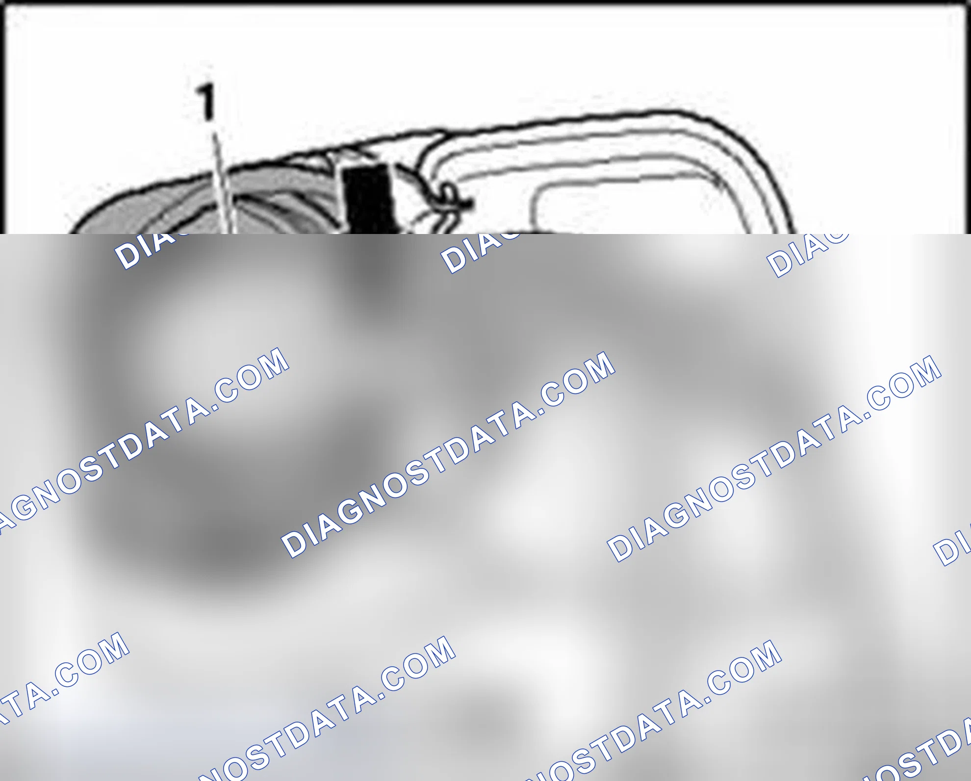 Scheme 8