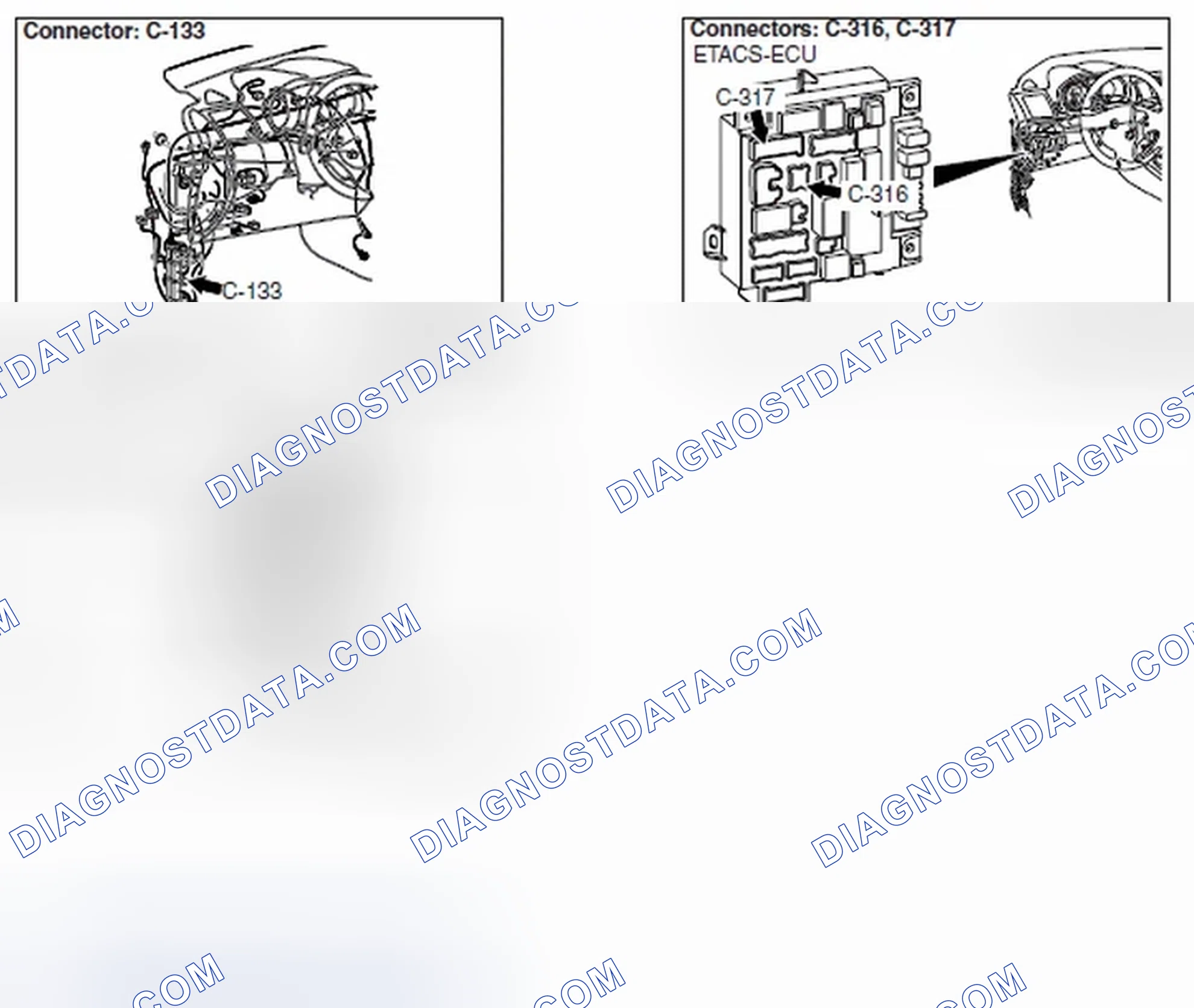 Scheme 893
