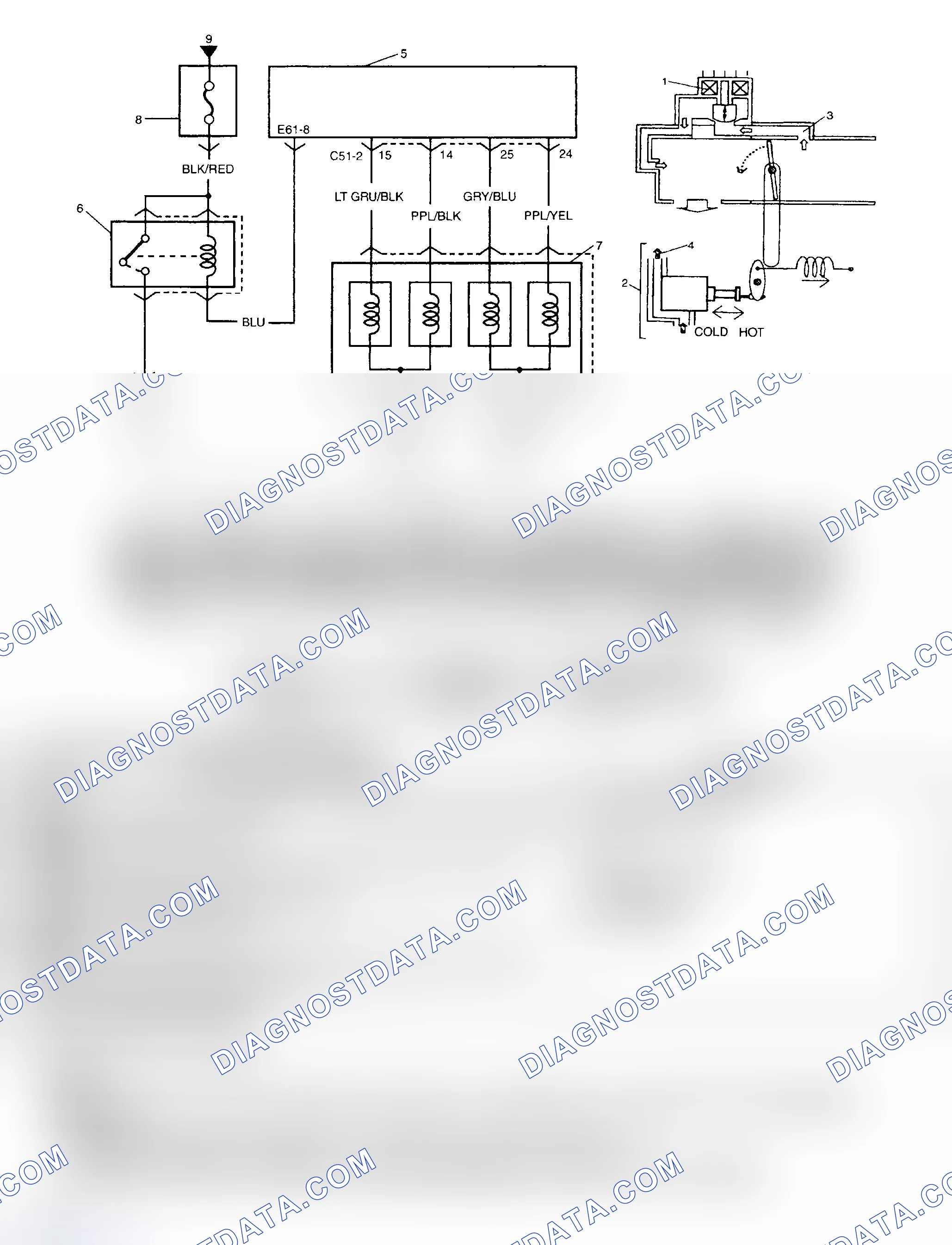 Scheme 207: Diagnostic Procedures