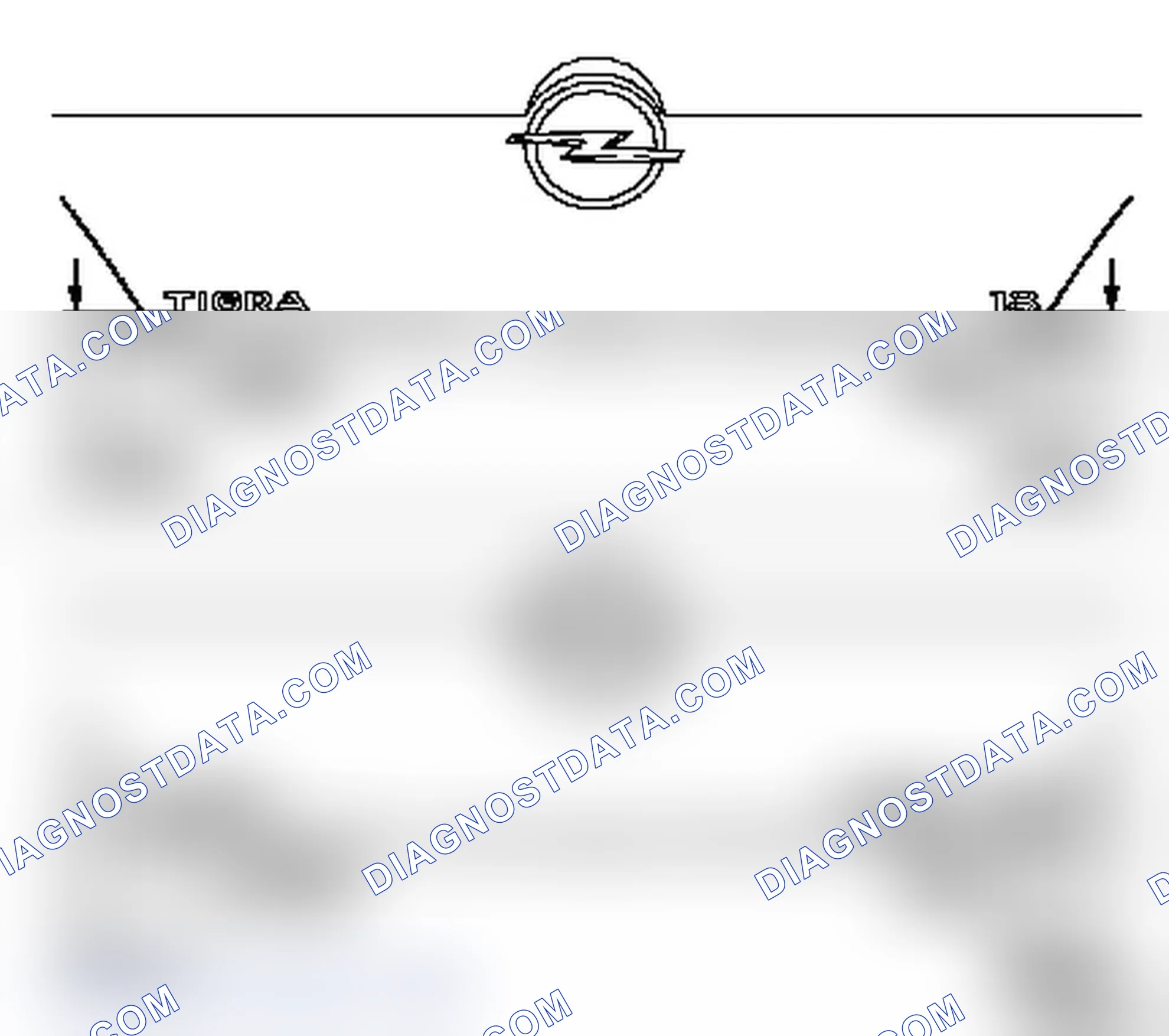Replace Lettering Rear