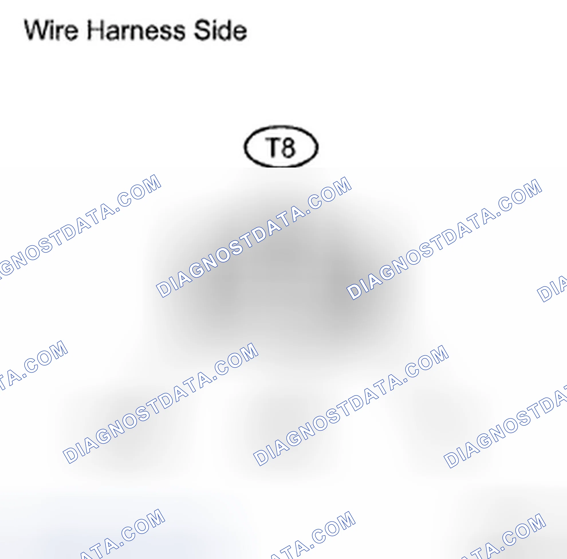 Scheme 11: INSPECTION PROCEDURE