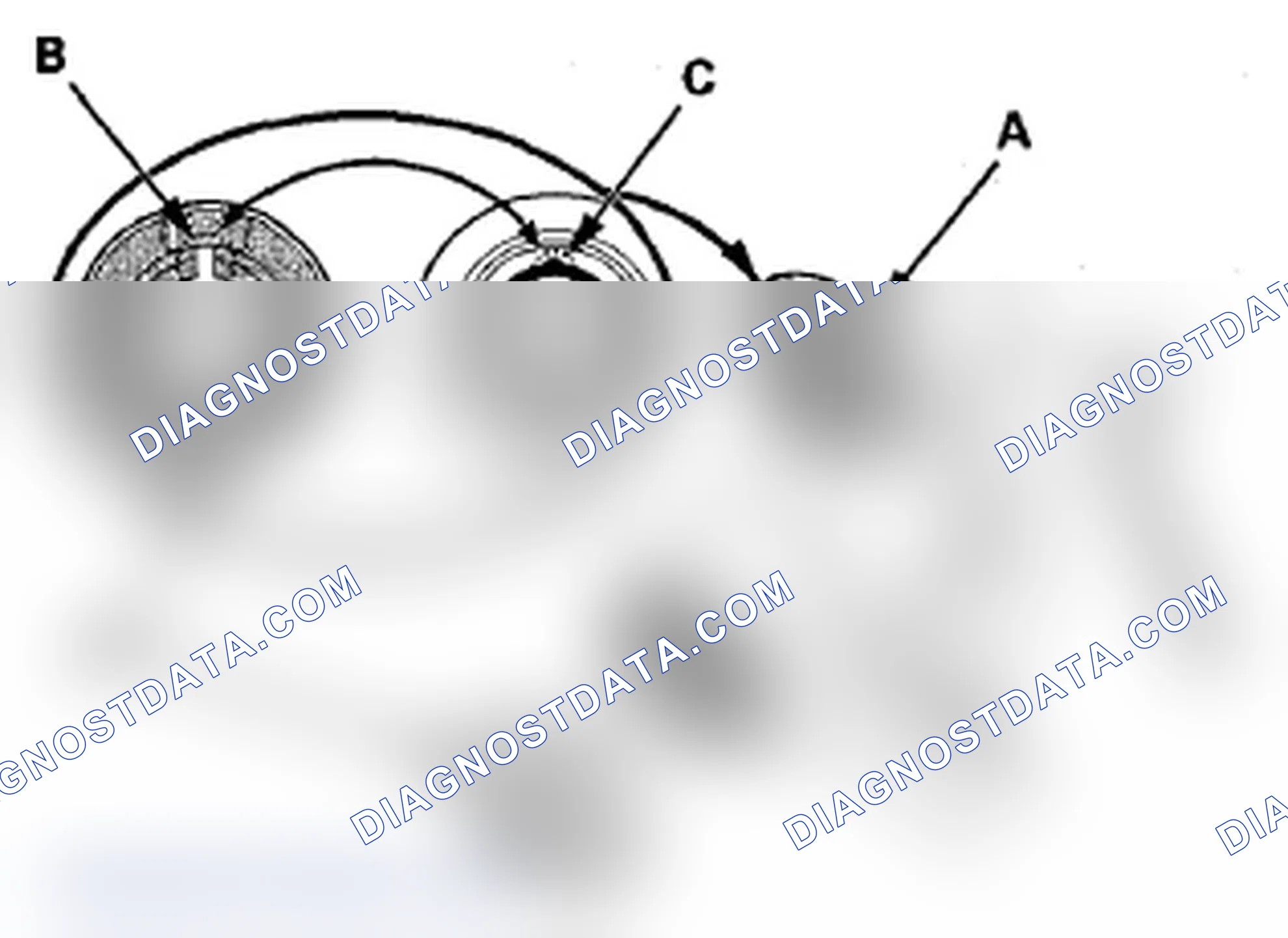 Scheme 13