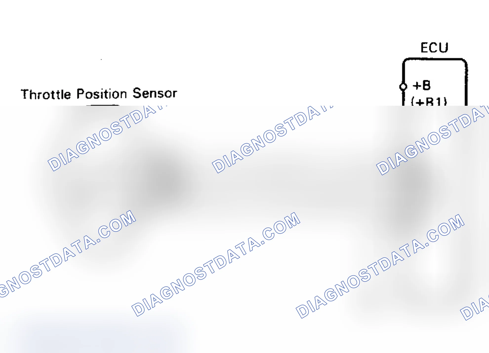 Scheme 41: Code 41/Test No. 8 Schematic (W/ECT) Throttle Position Sensor Signal