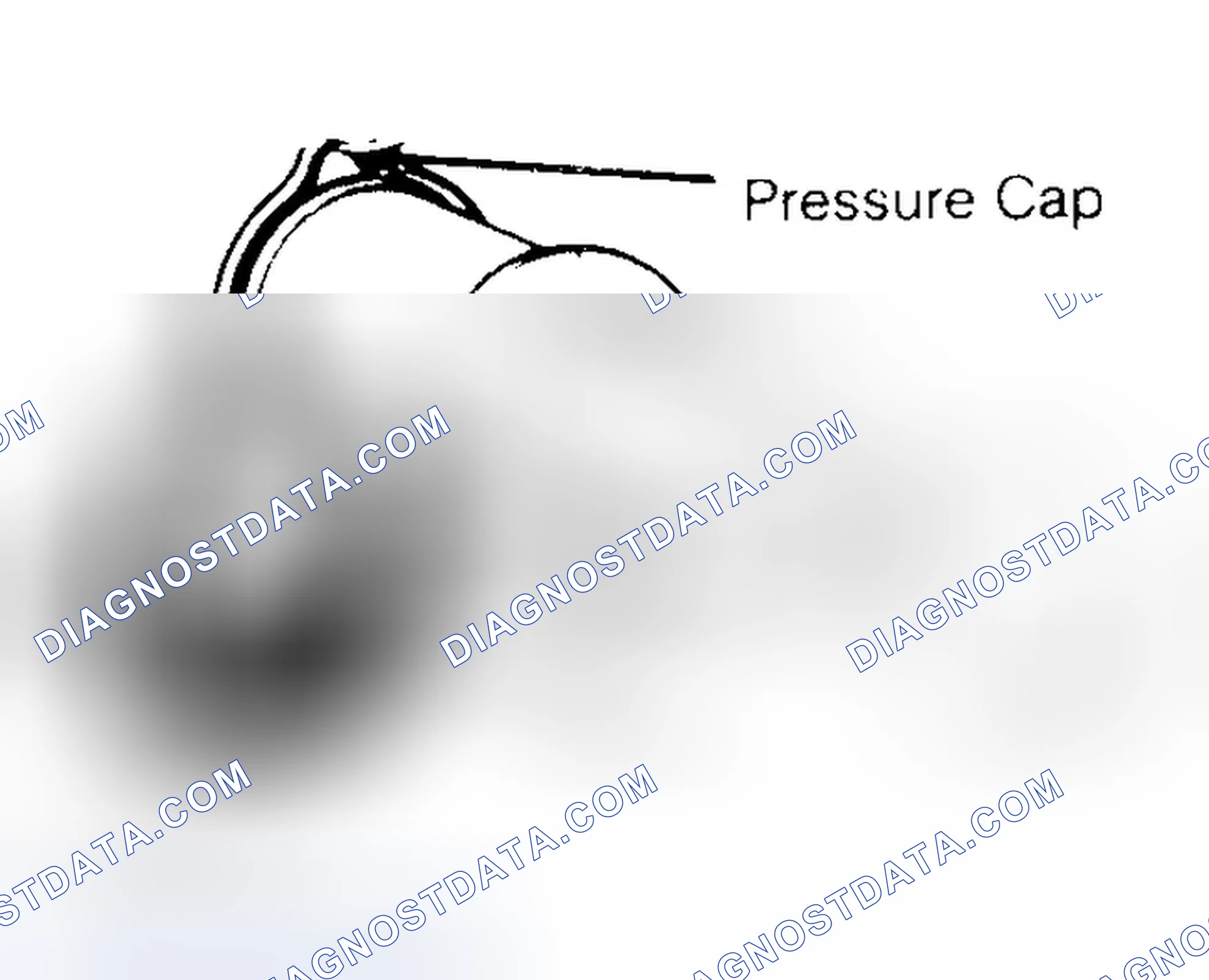 Scheme 2: Pressure Testing Radiator Cap