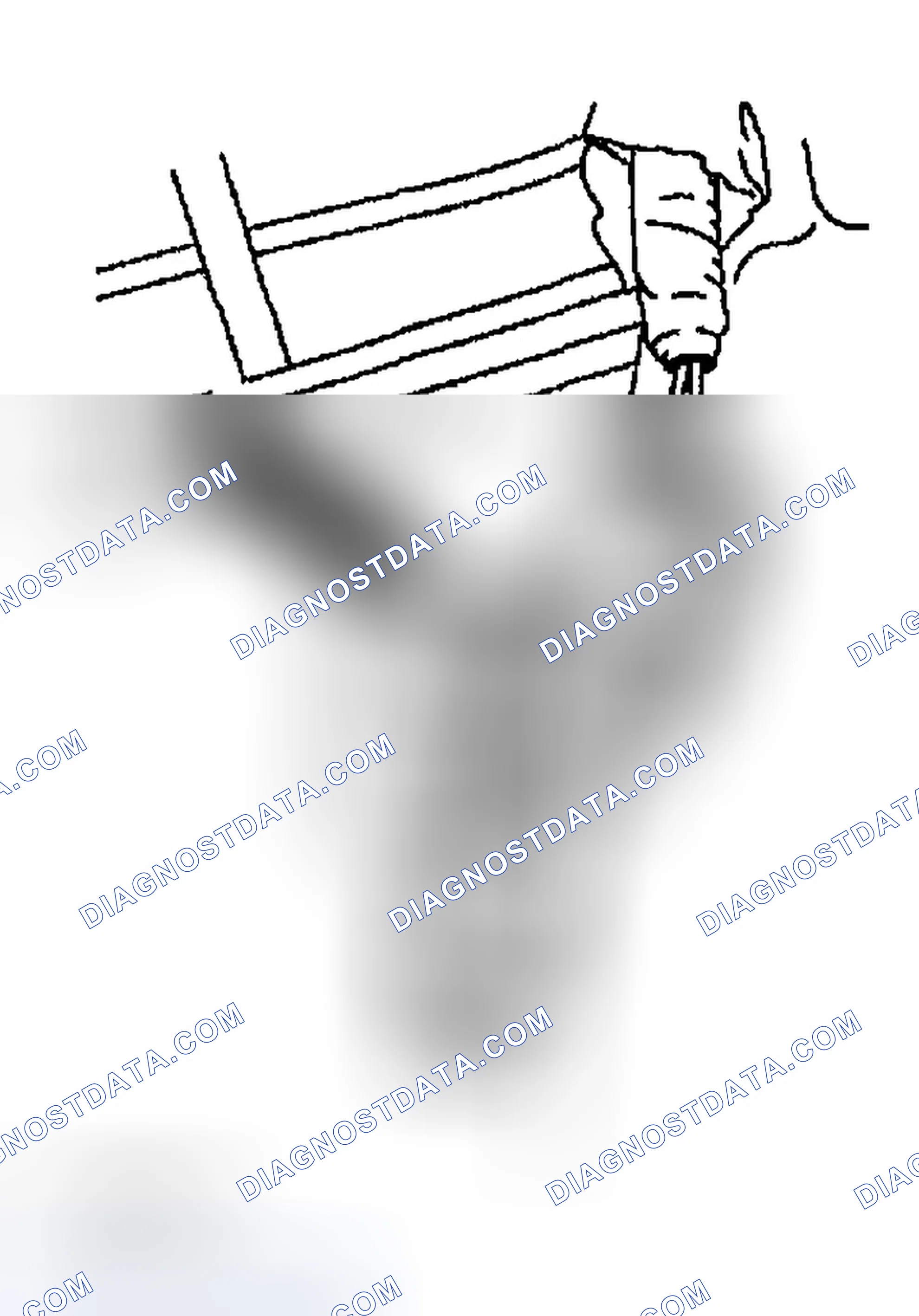 Scheme 135