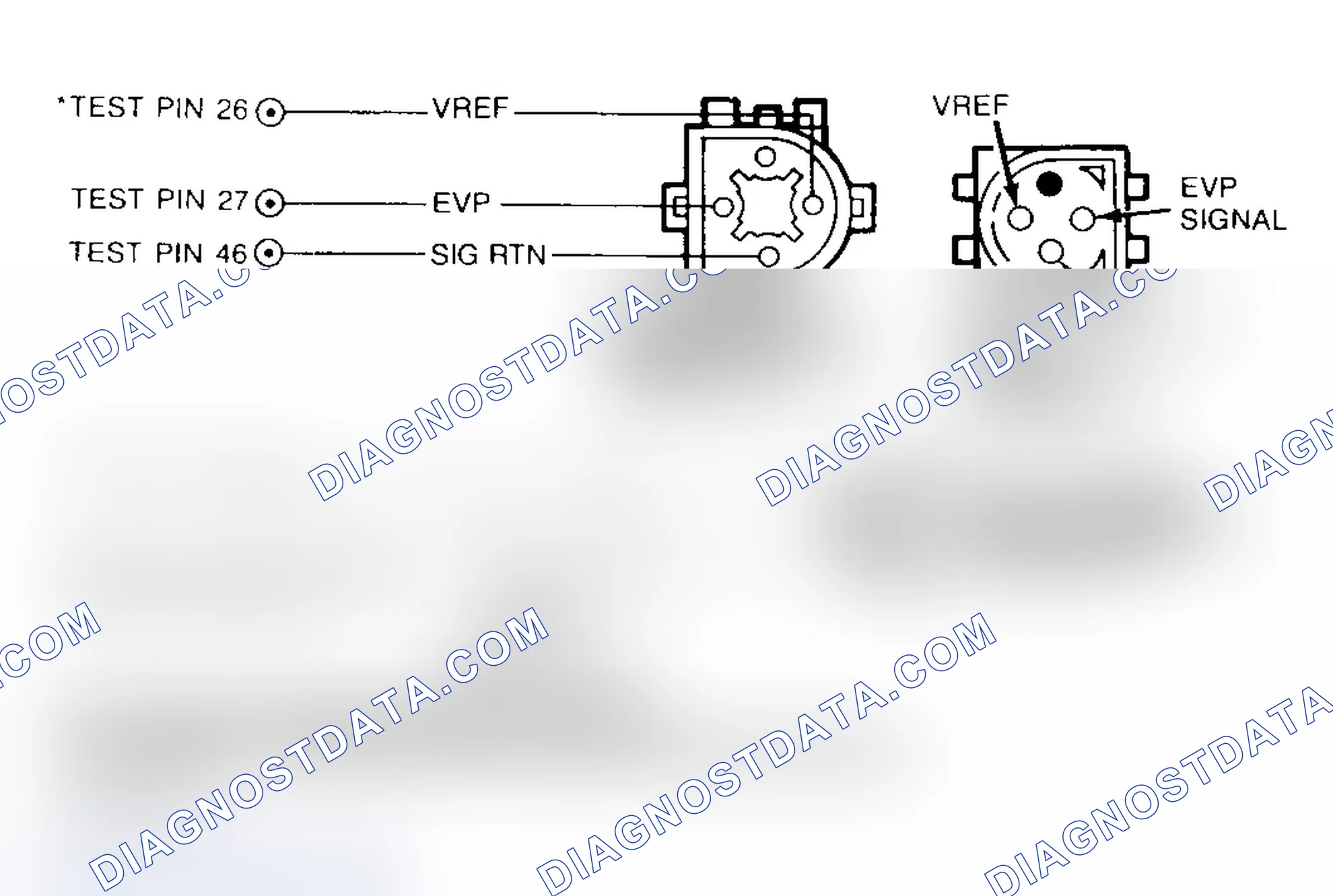Scheme 33: EVP Sensor & EVR Solenoid Connector Terminal ID (DN1)