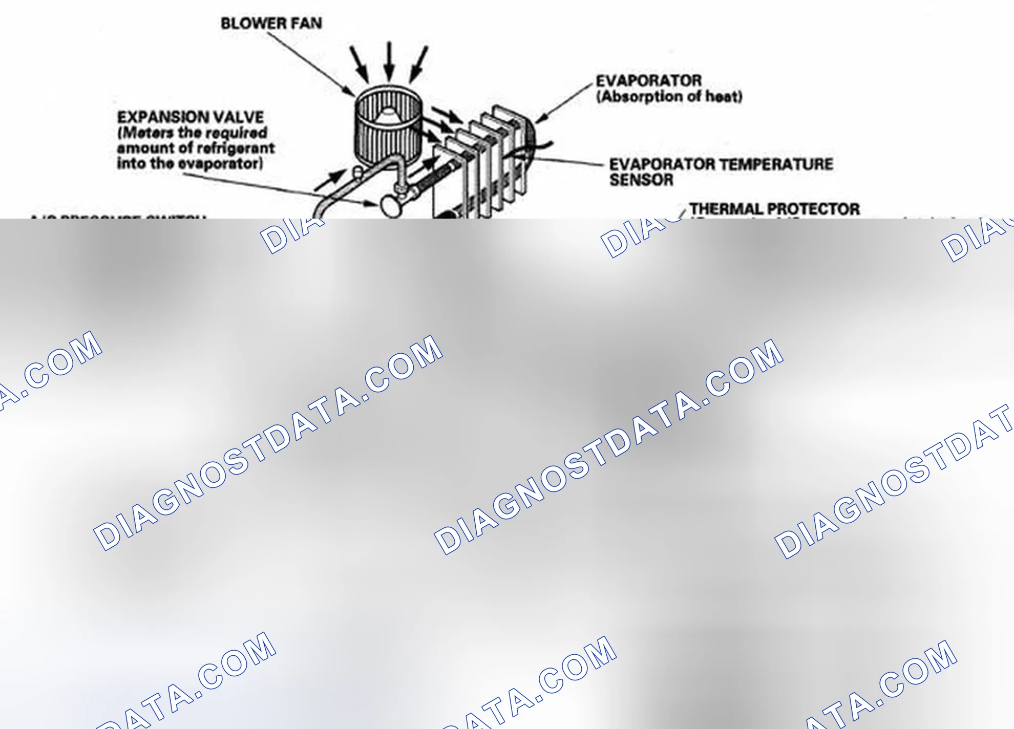 Scheme 5: System Description