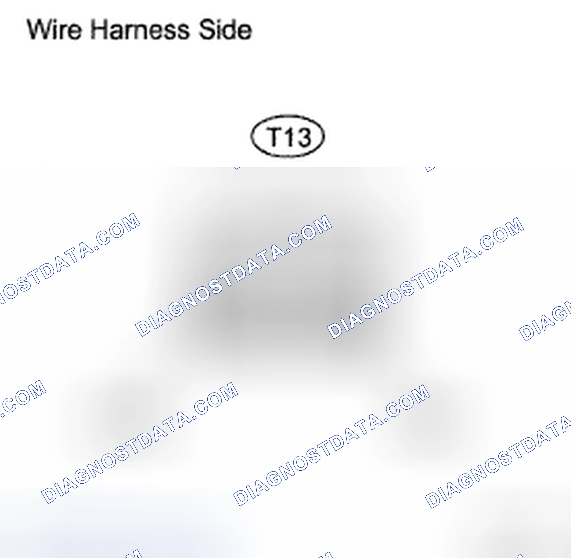 Scheme 106: INSPECTION PROCEDURE
