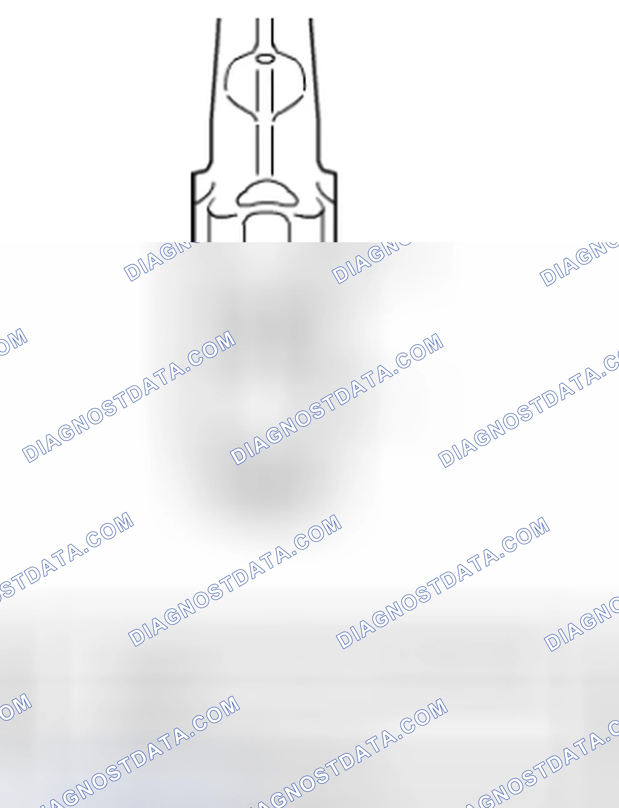 Scheme 216: Standard Size