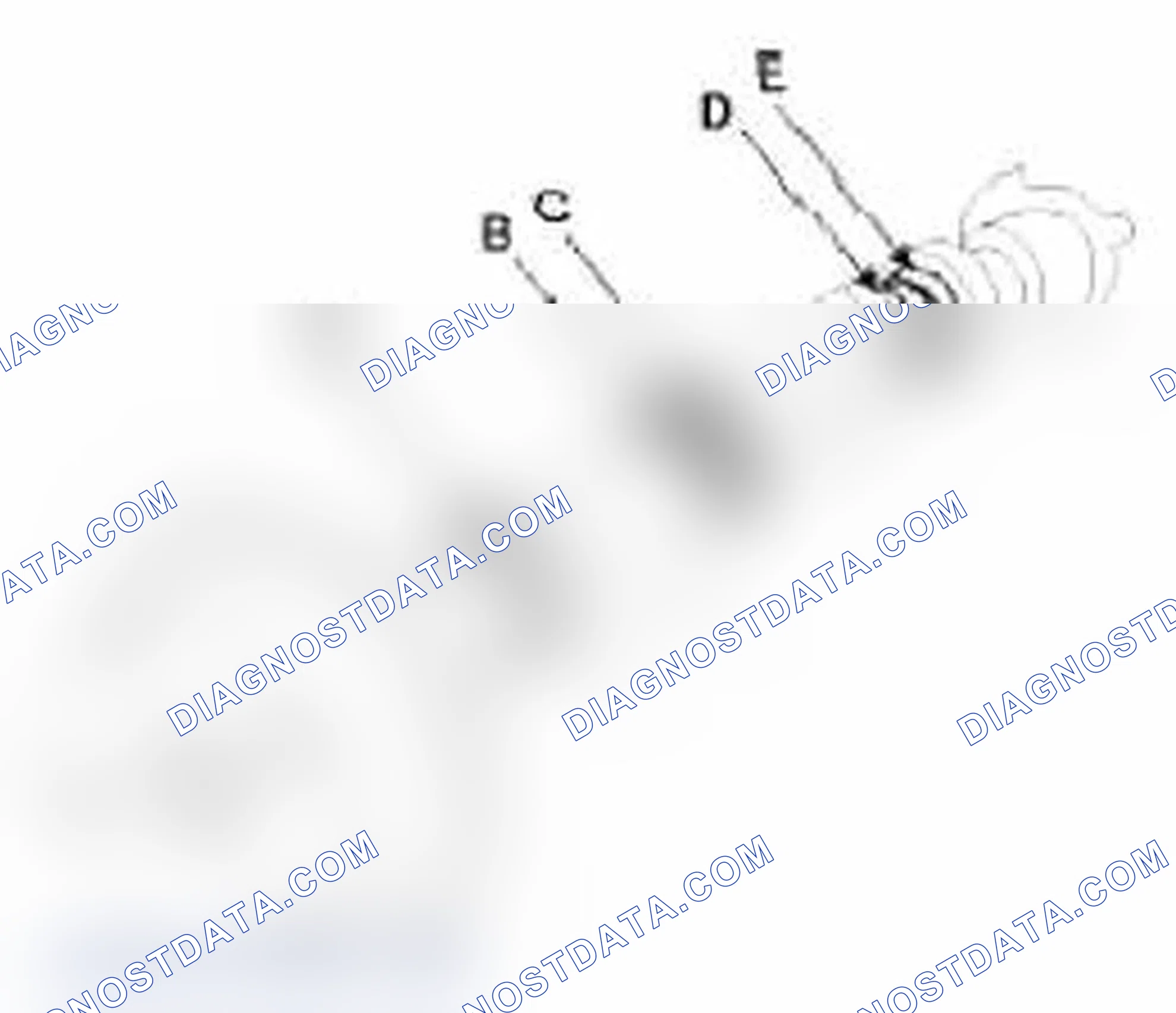 Scheme 159: [Intake Camshaft]