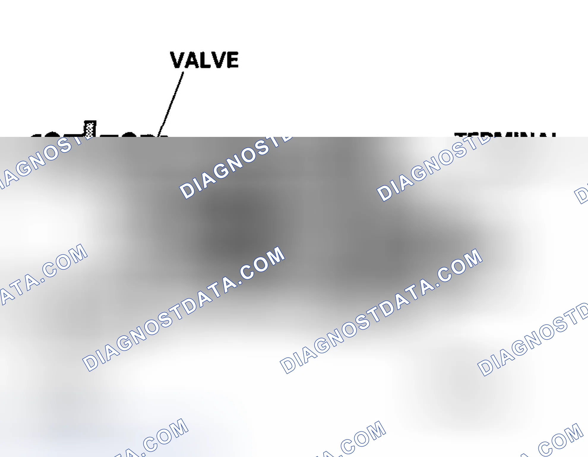 Scheme 47: EVAP Canister Vent Shut Valve