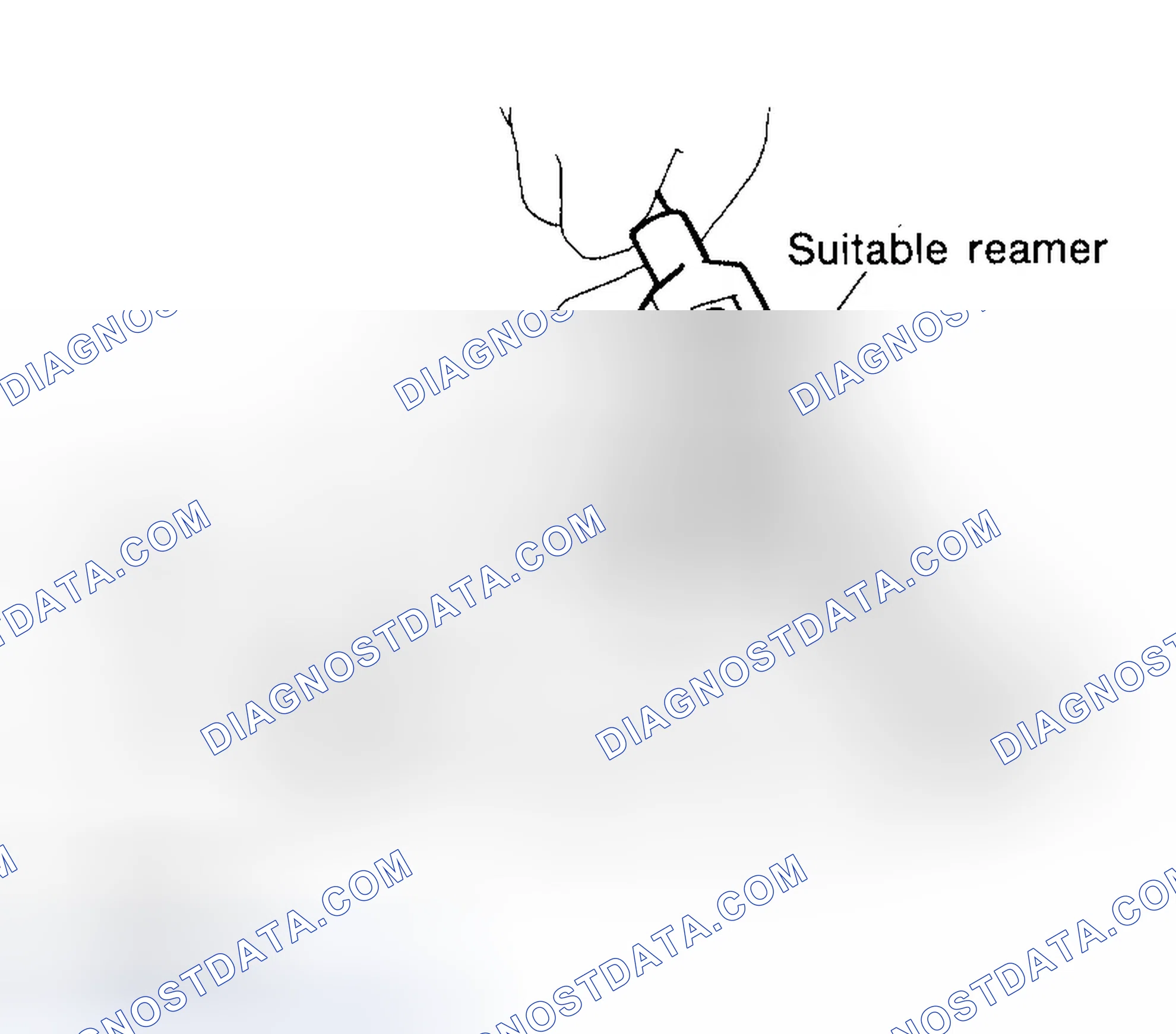 Scheme 123