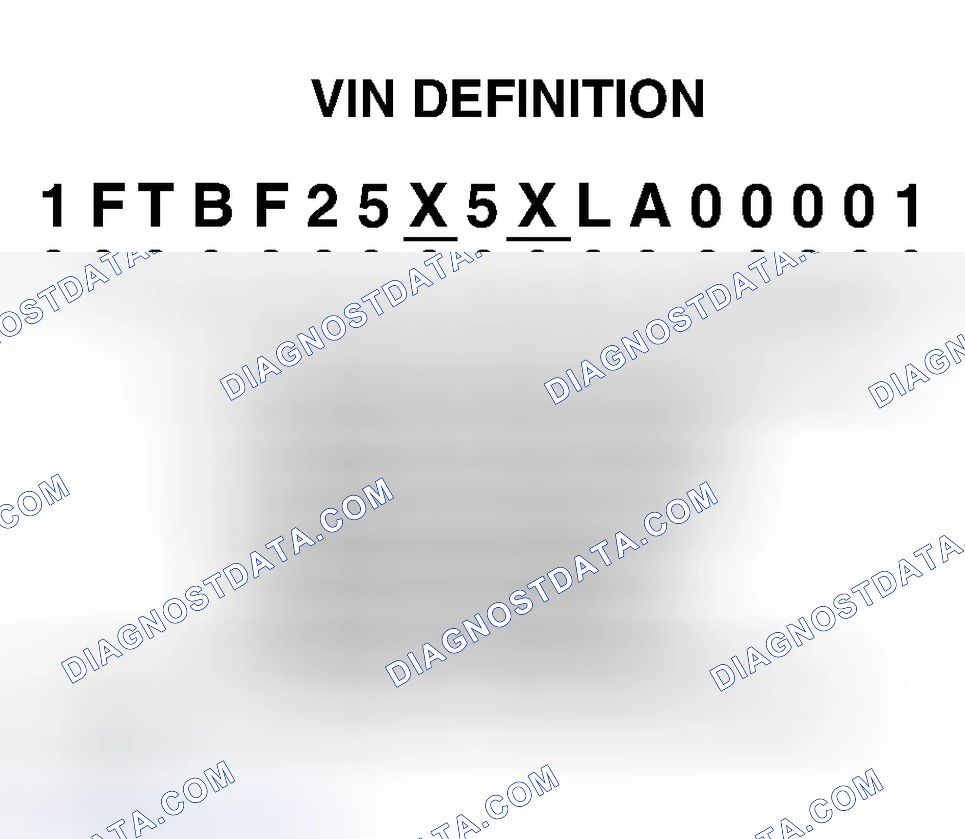 Scheme 1: VIN Definition