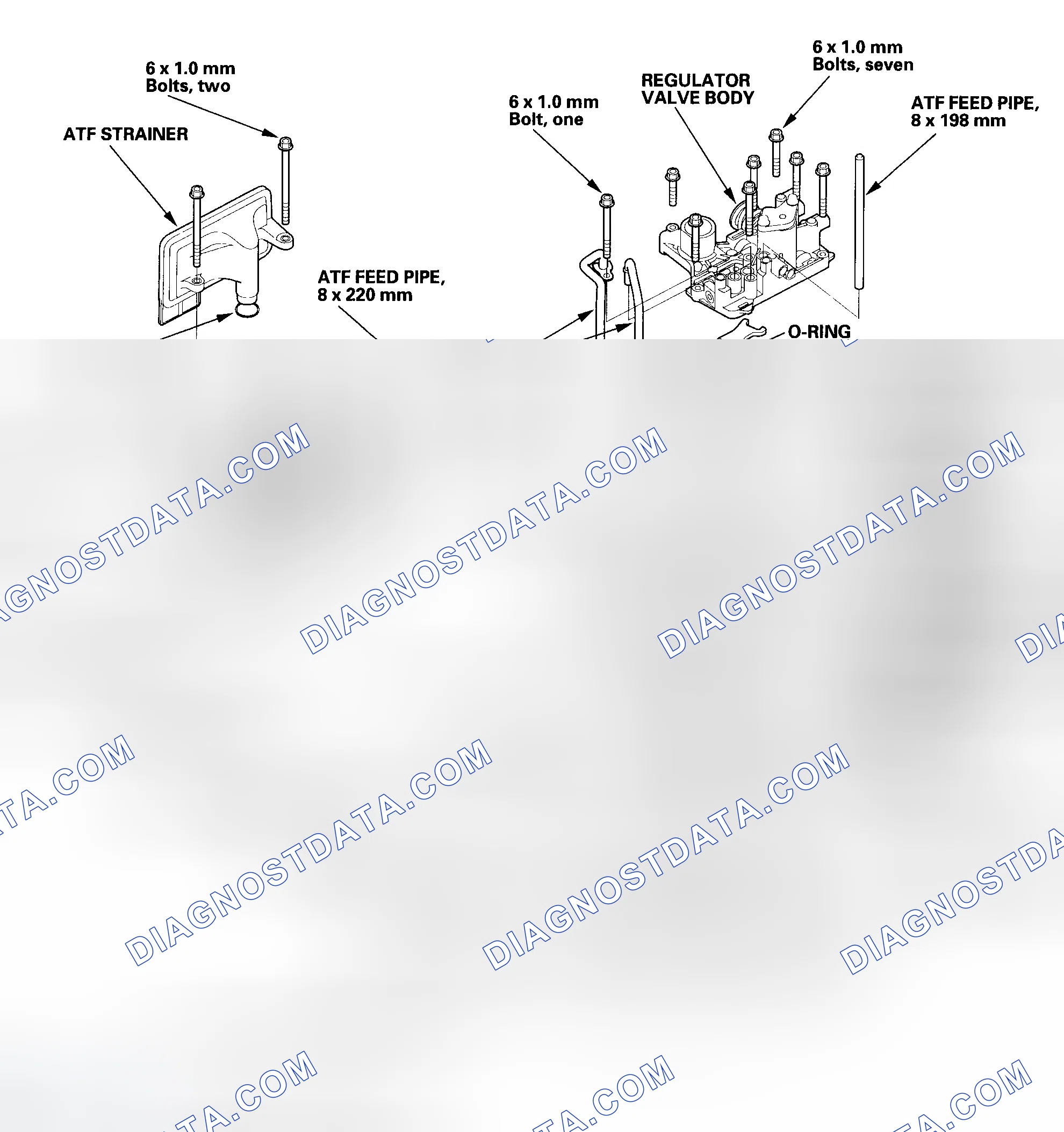 Scheme 491: Exploded View - 2003-2004 Models