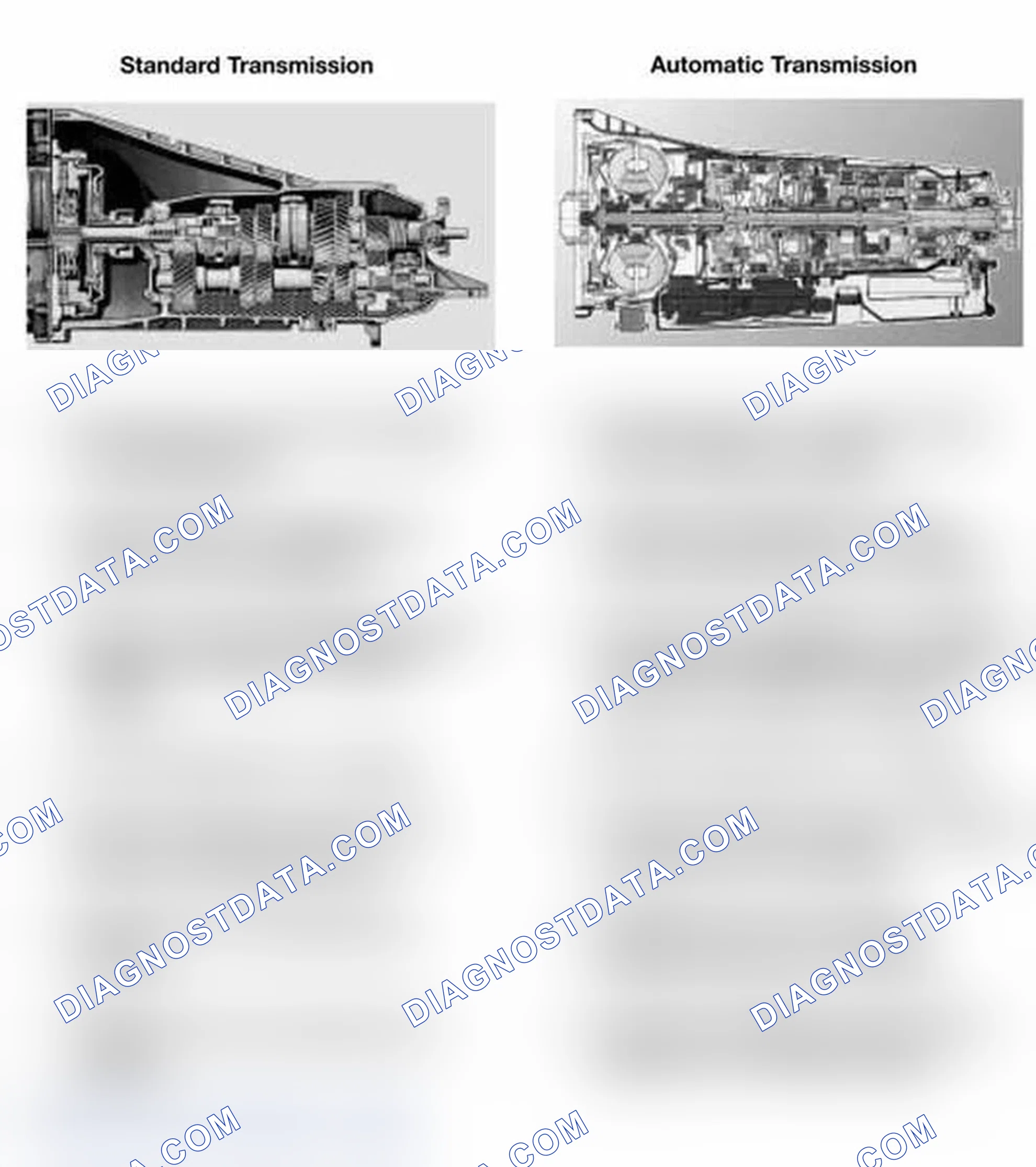 Scheme 1: STANDARD/AUTOMATIC TRANSMISSION