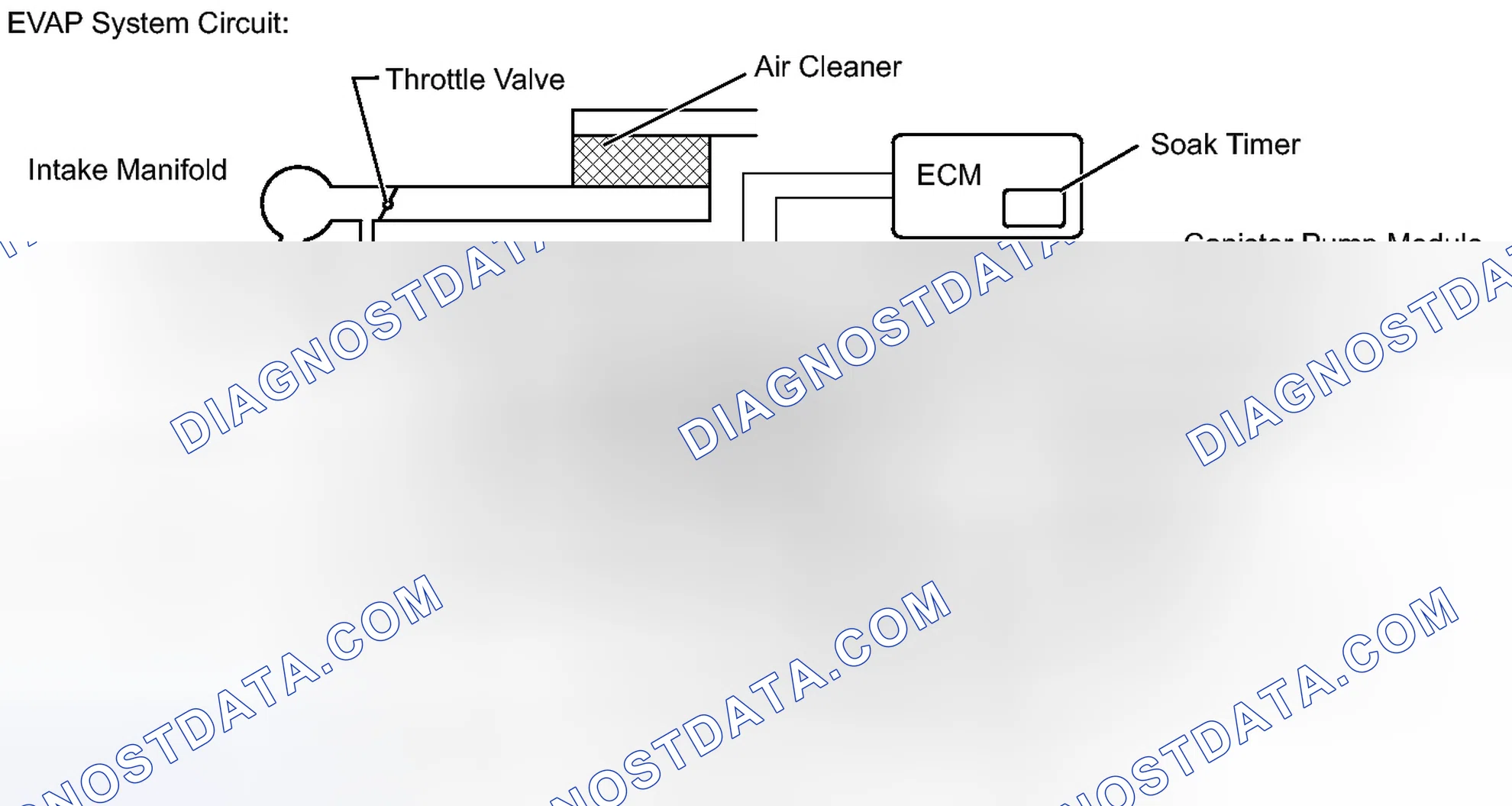 Scheme 246