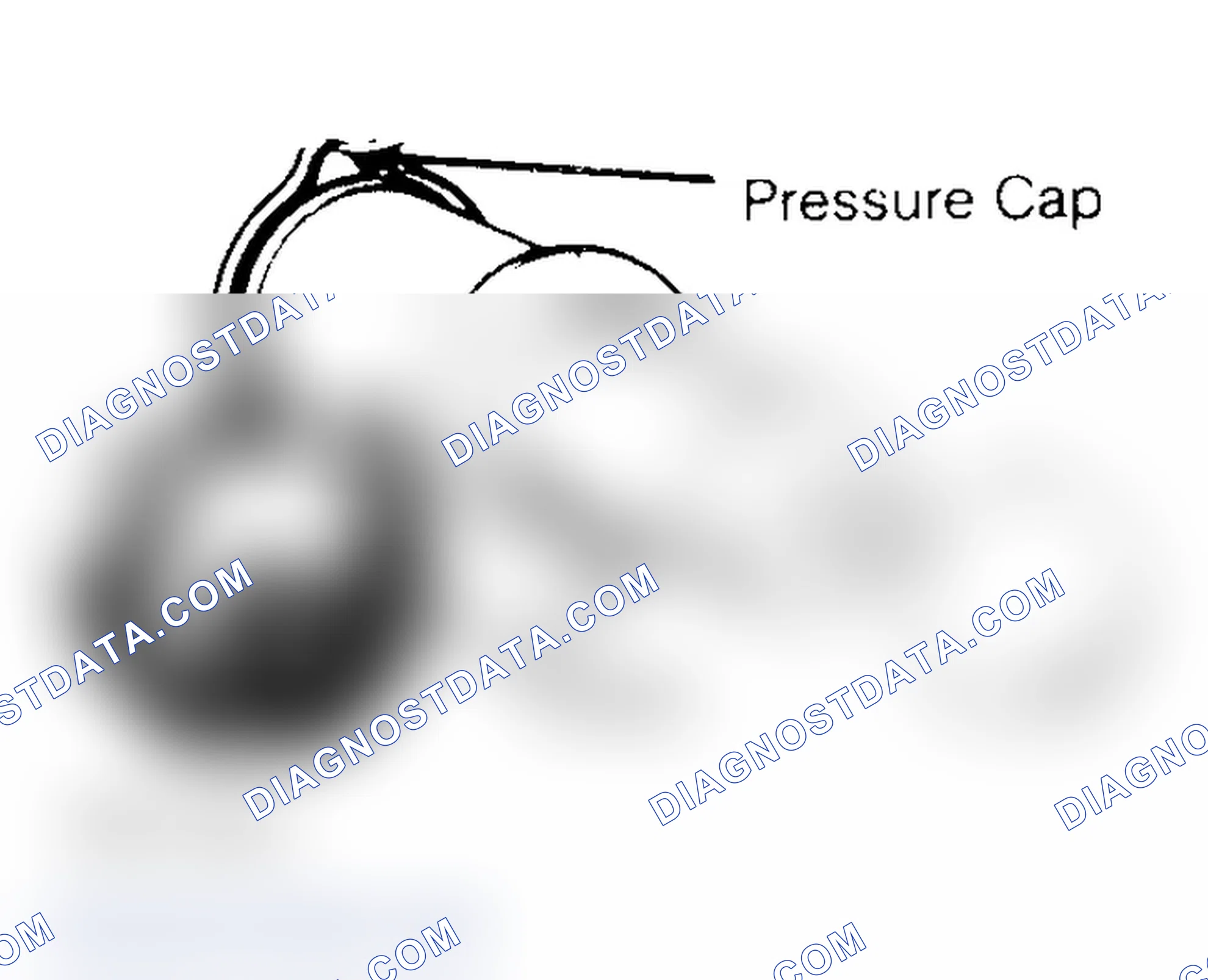 Scheme 2: Pressure Testing Radiator Cap