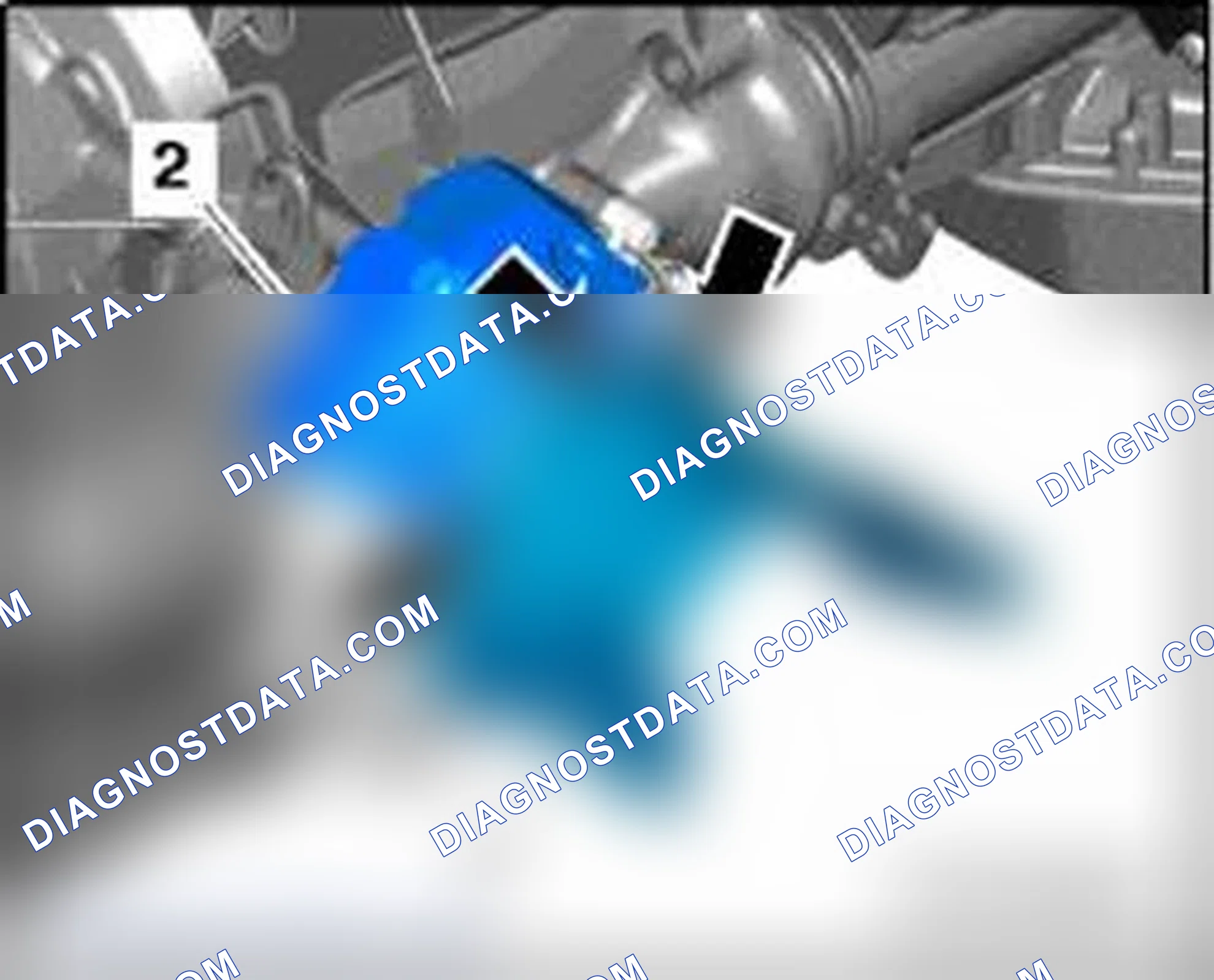 Scheme 316: Right drive shaft heat shield