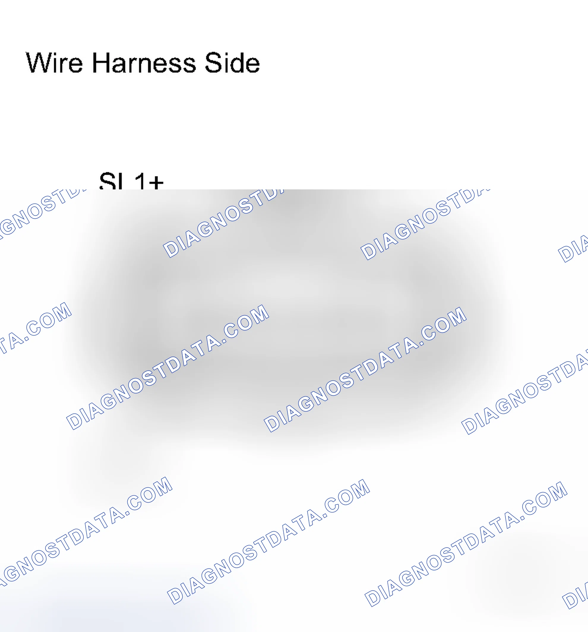 Scheme 1795: INSPECTION PROCEDURE