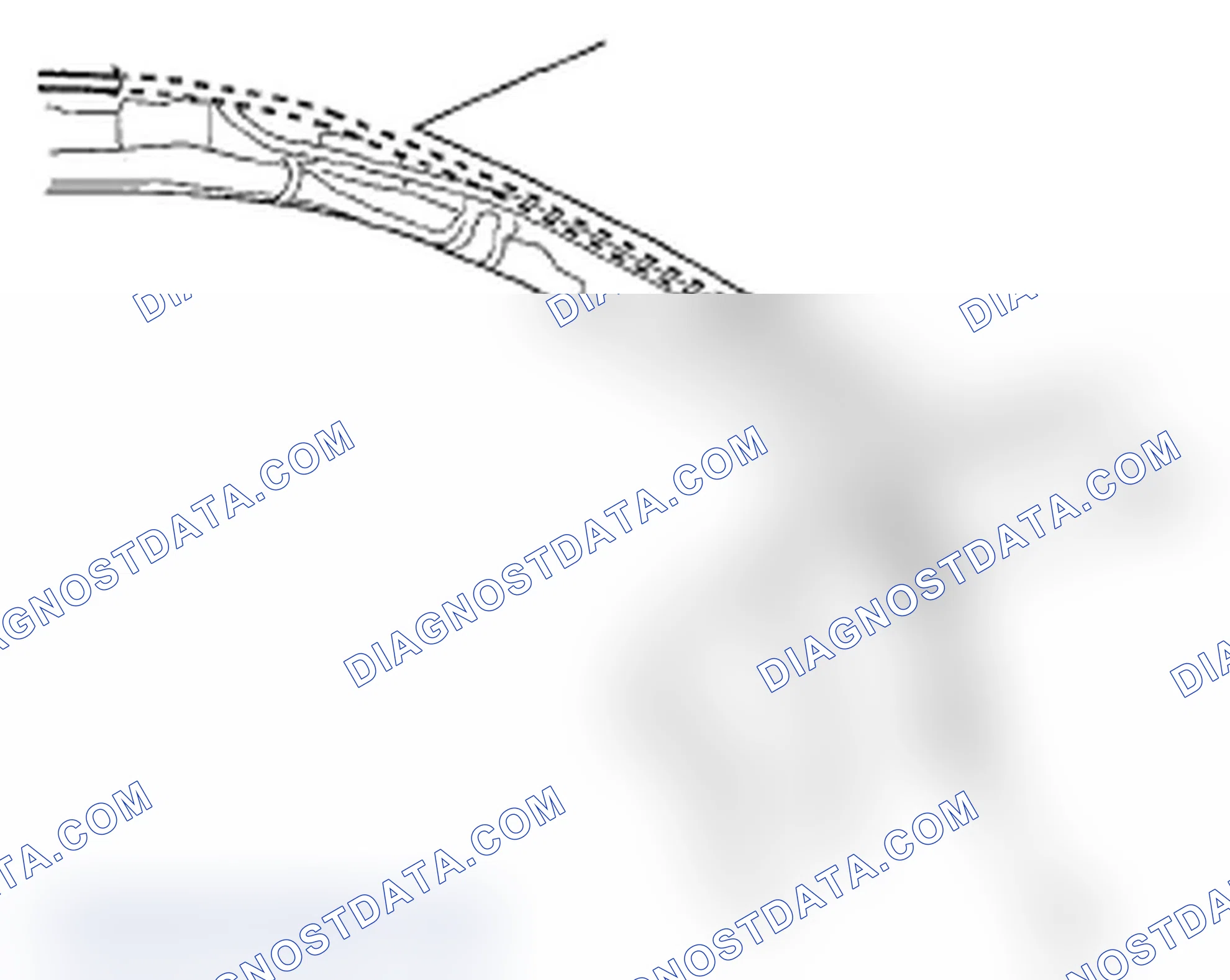 Scheme 20