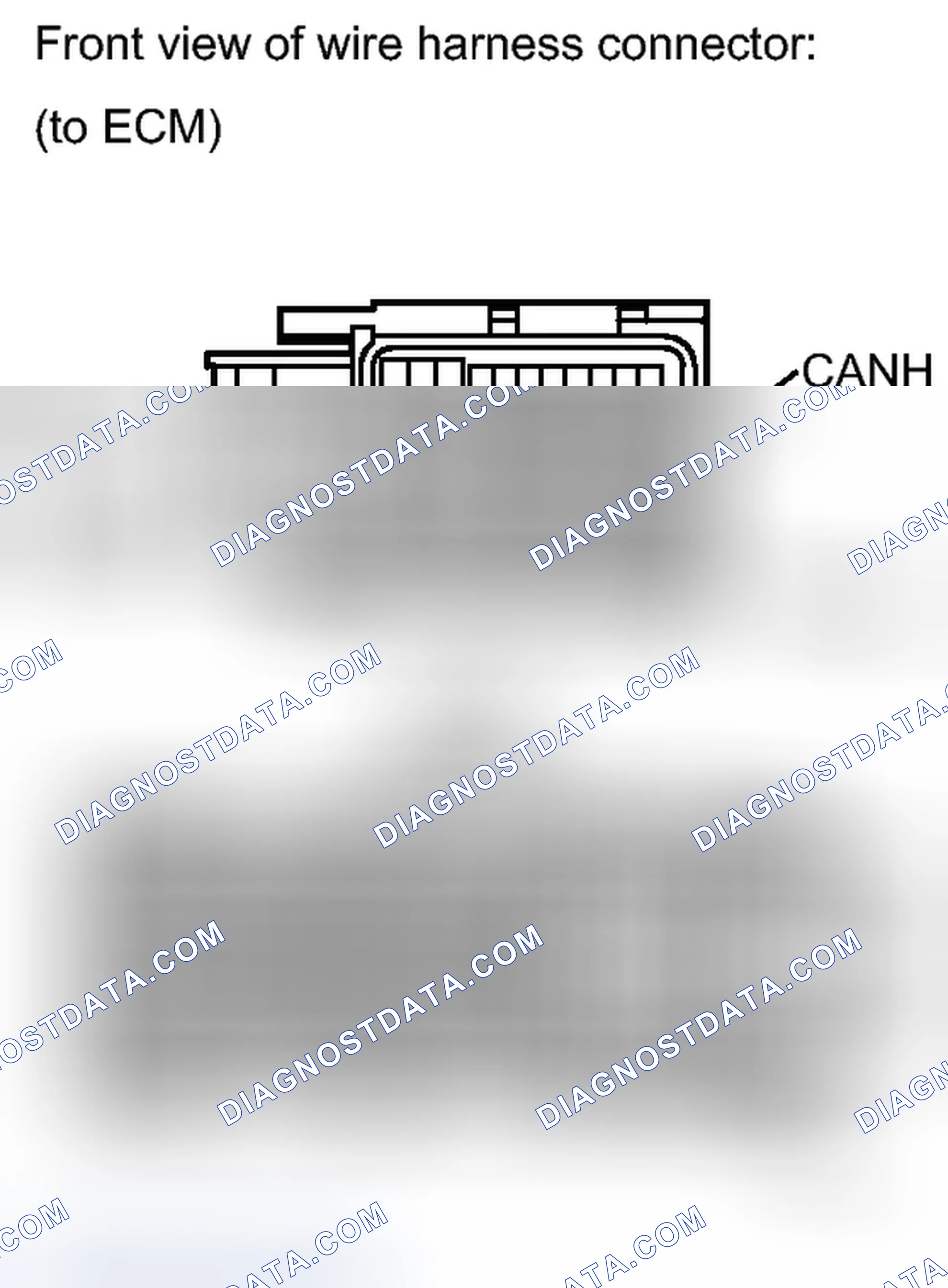 Scheme 146
