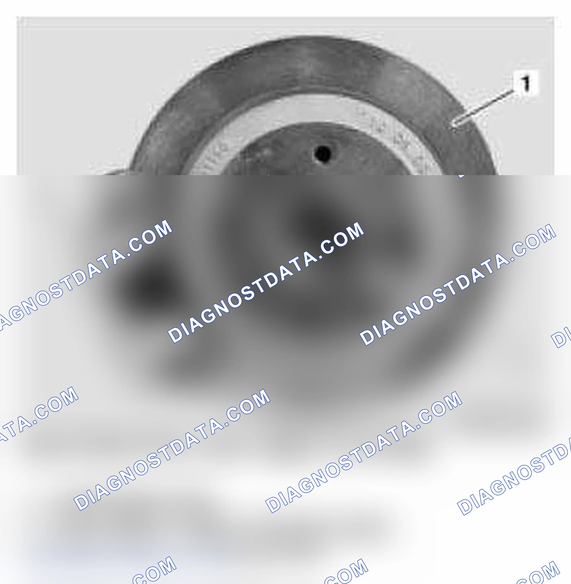 Scheme 71: Rear Wheel Brake Assembly