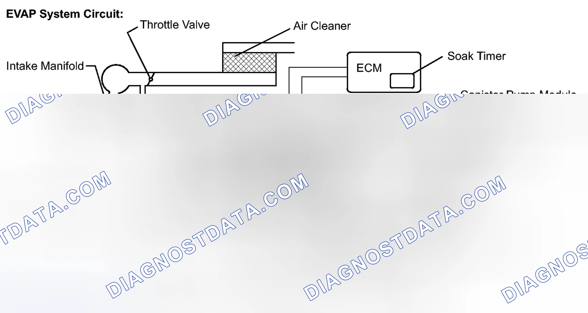 Scheme 118