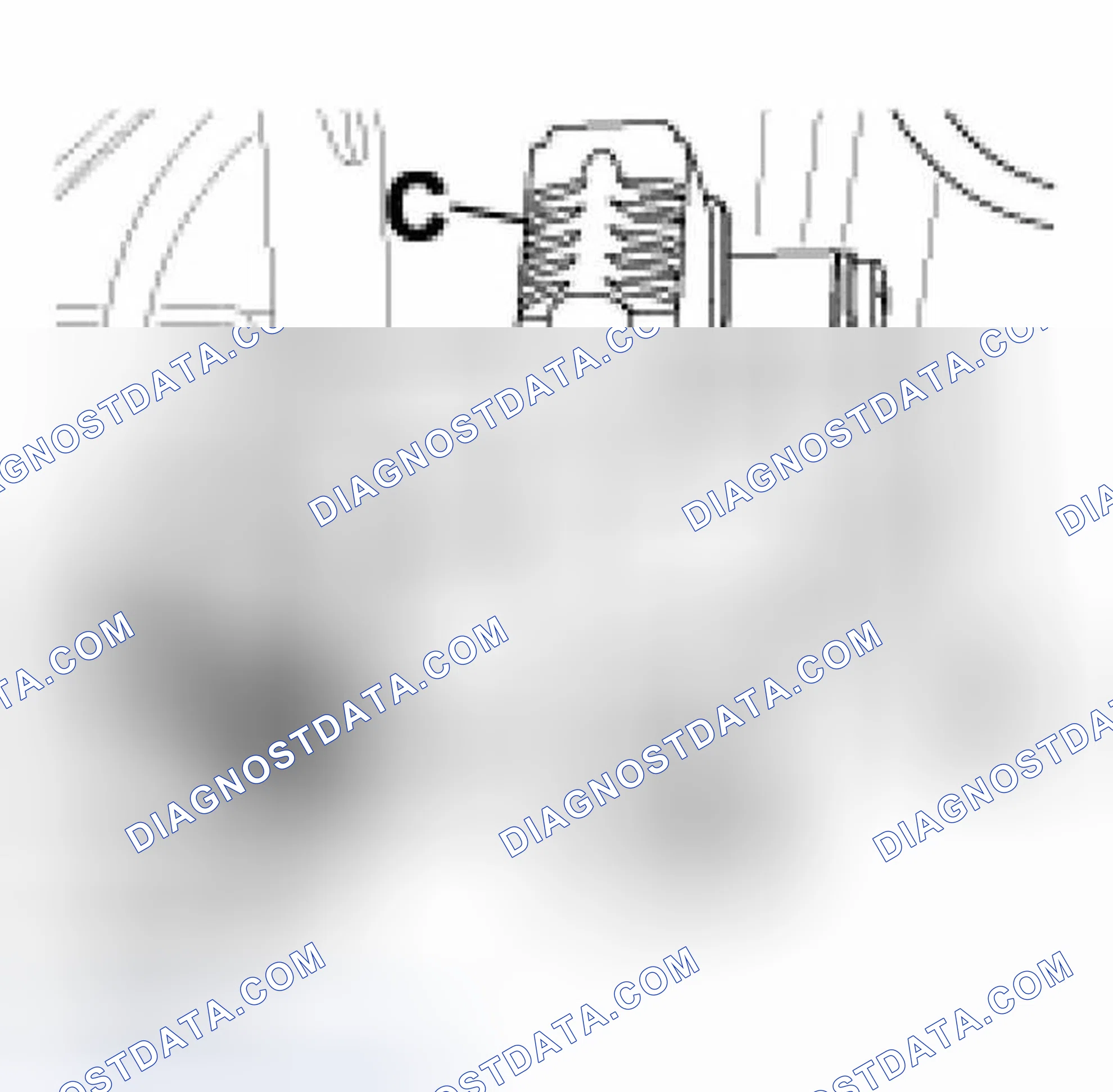 Scheme 385