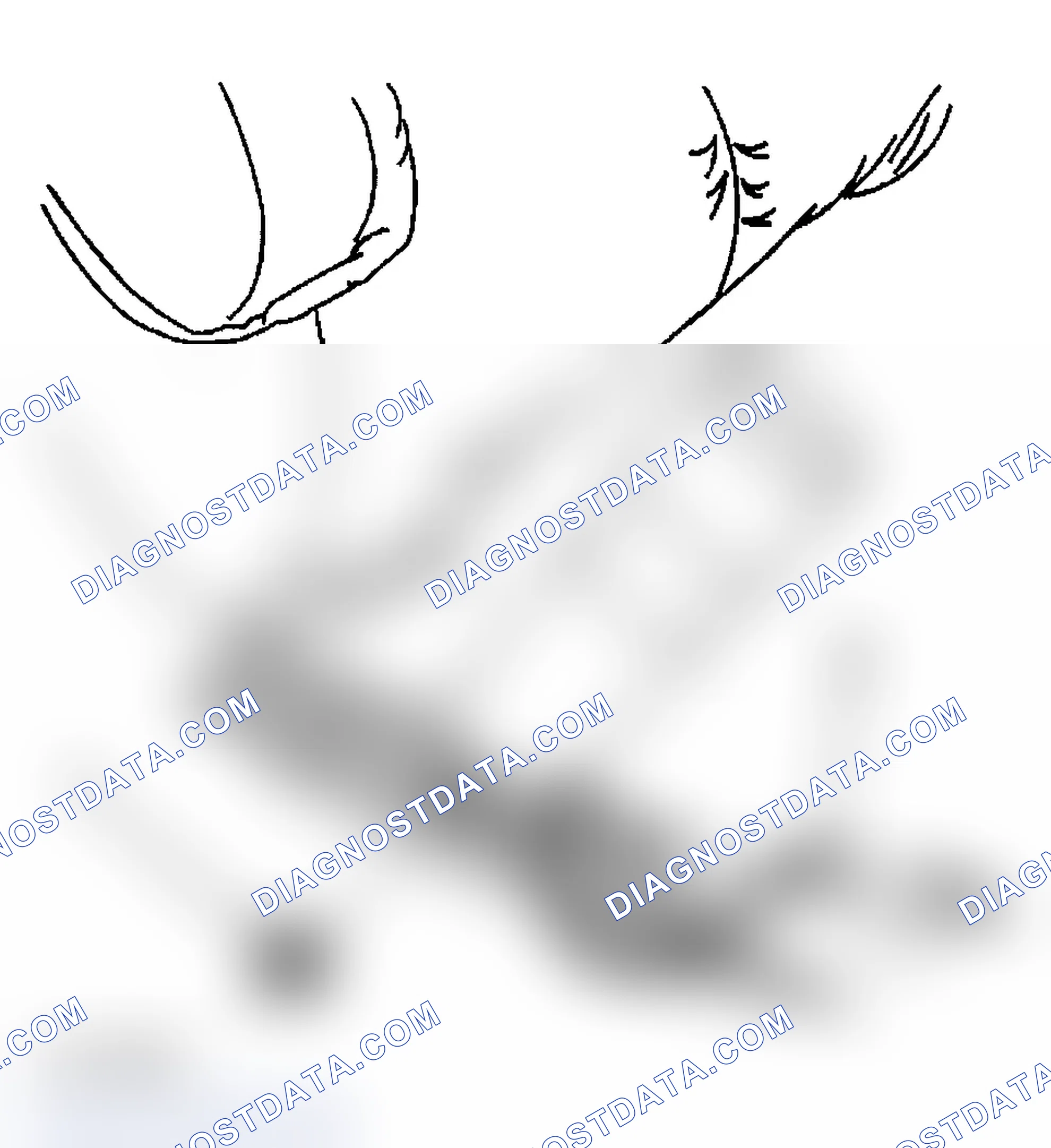 Scheme 7: Removal Procedure