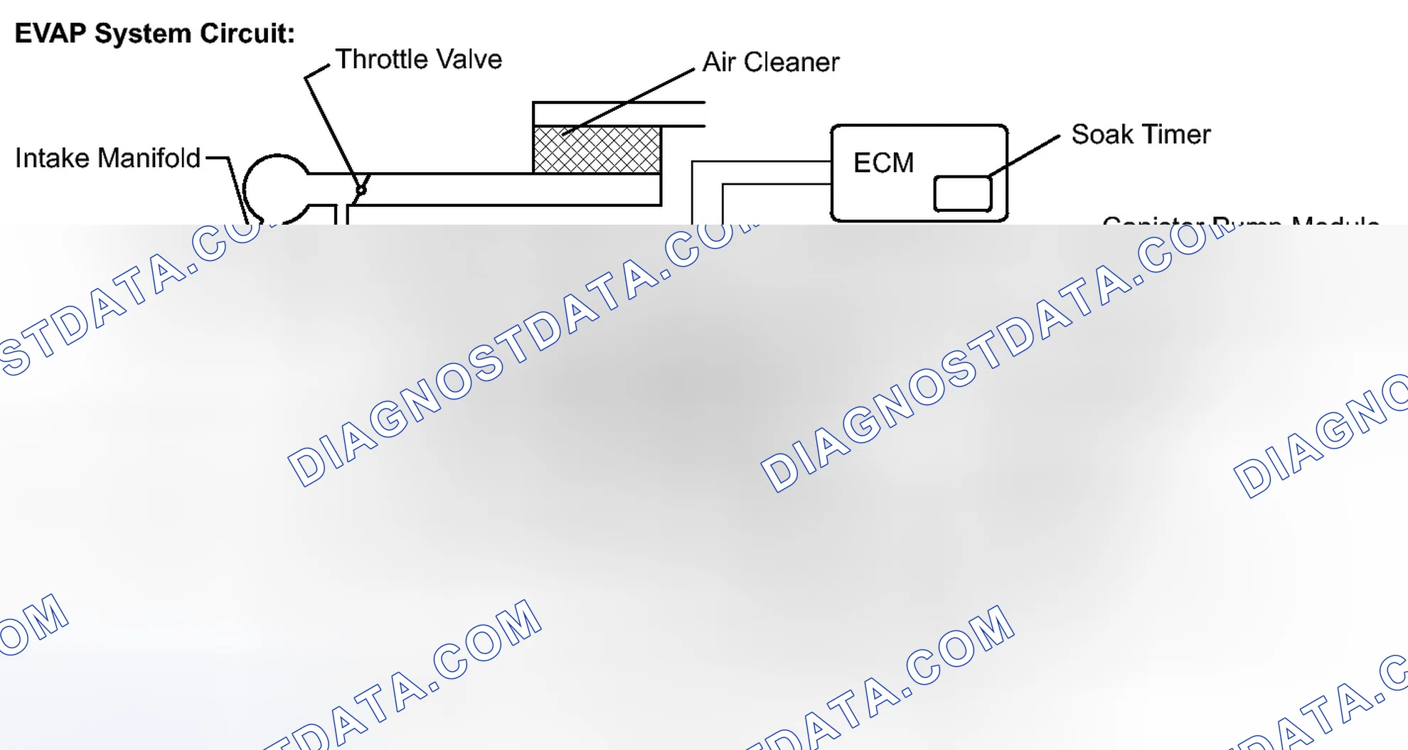 Scheme 118