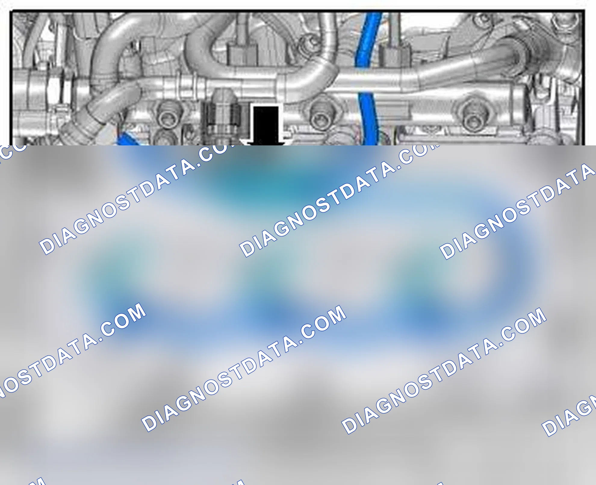 Scheme 517