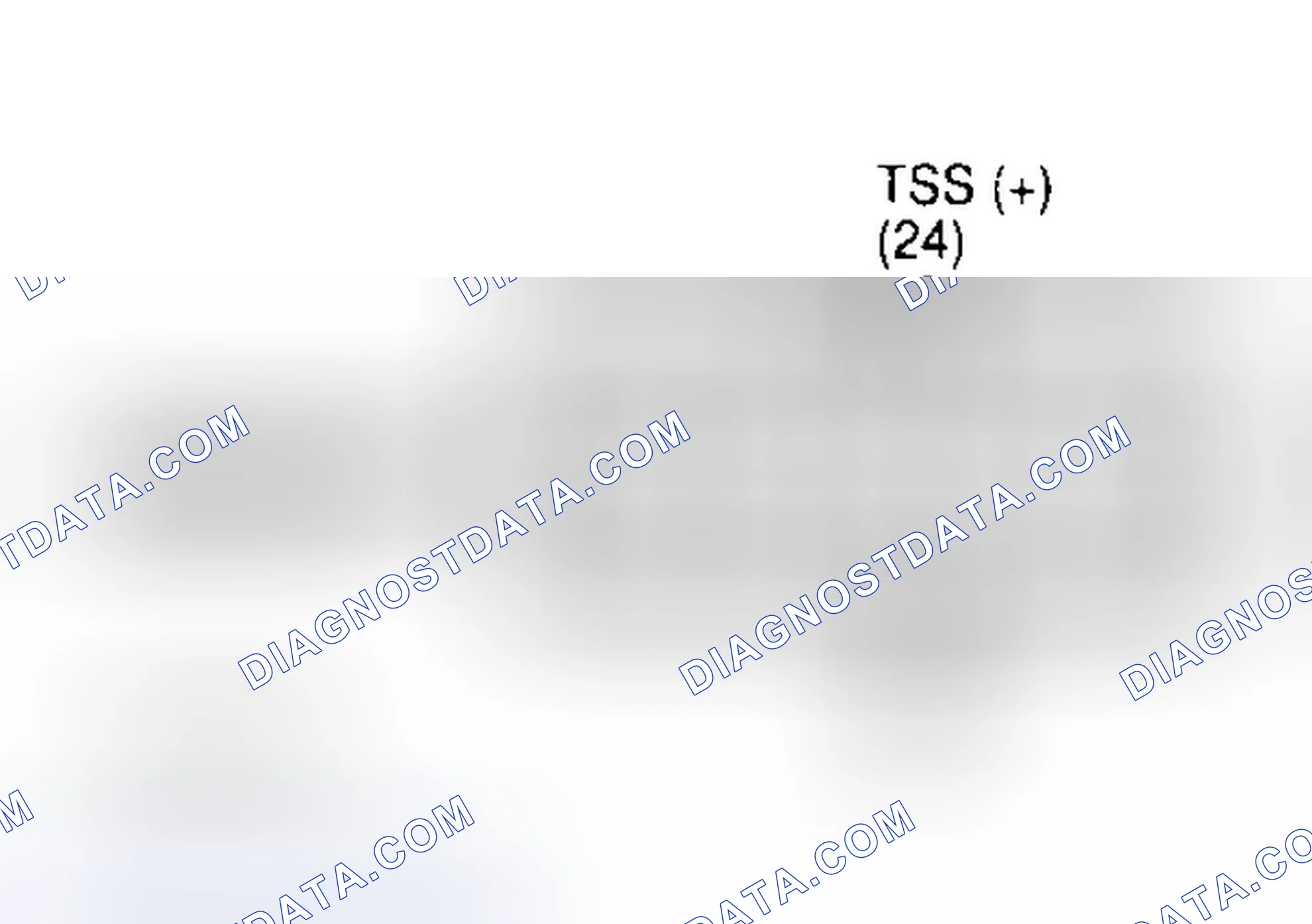 Scheme 90: Identifying Transmission 12-Pin Connector Terminals