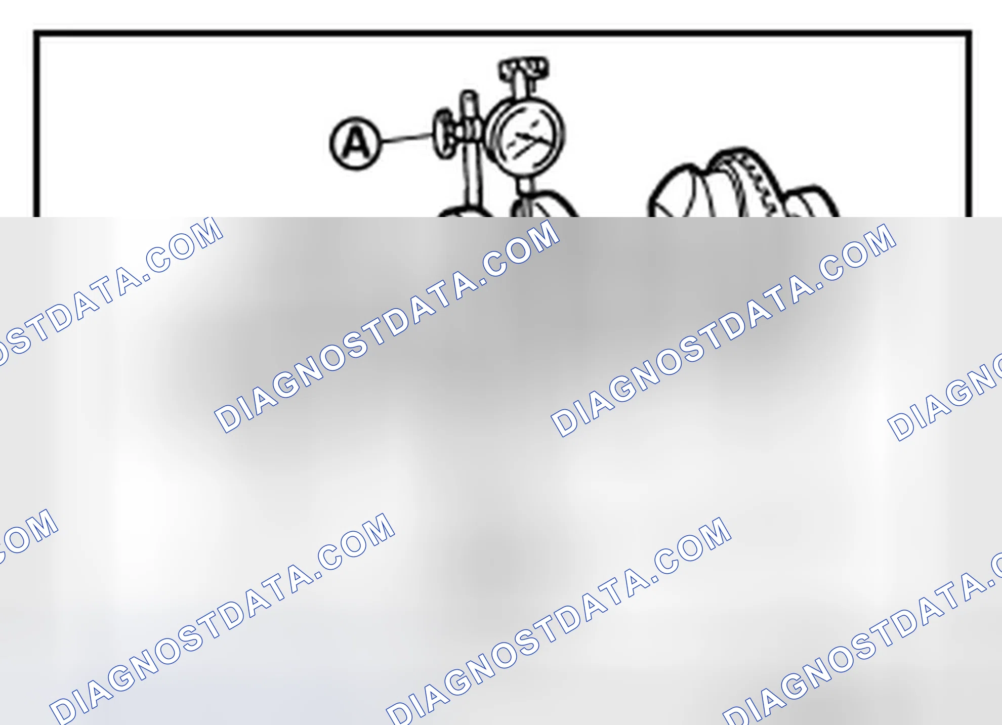 Scheme 241: CRANKSHAFT RUNOUT