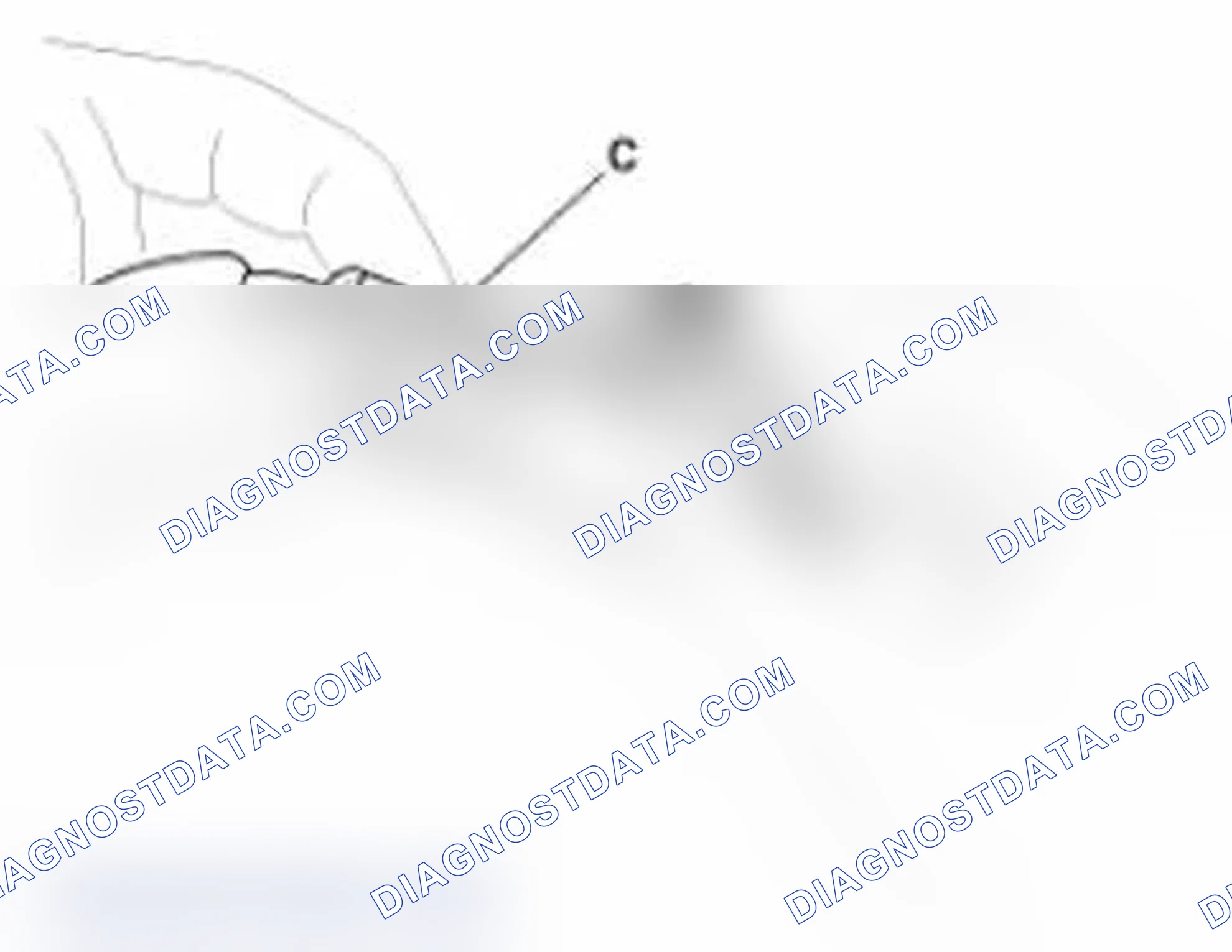 Scheme 31: Connecting