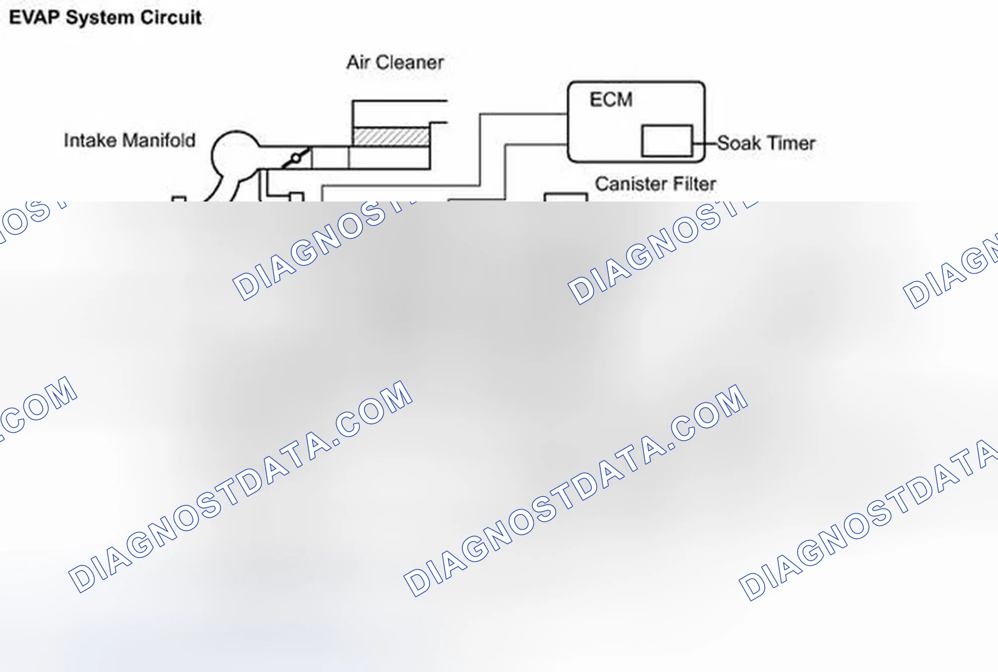 Scheme 53