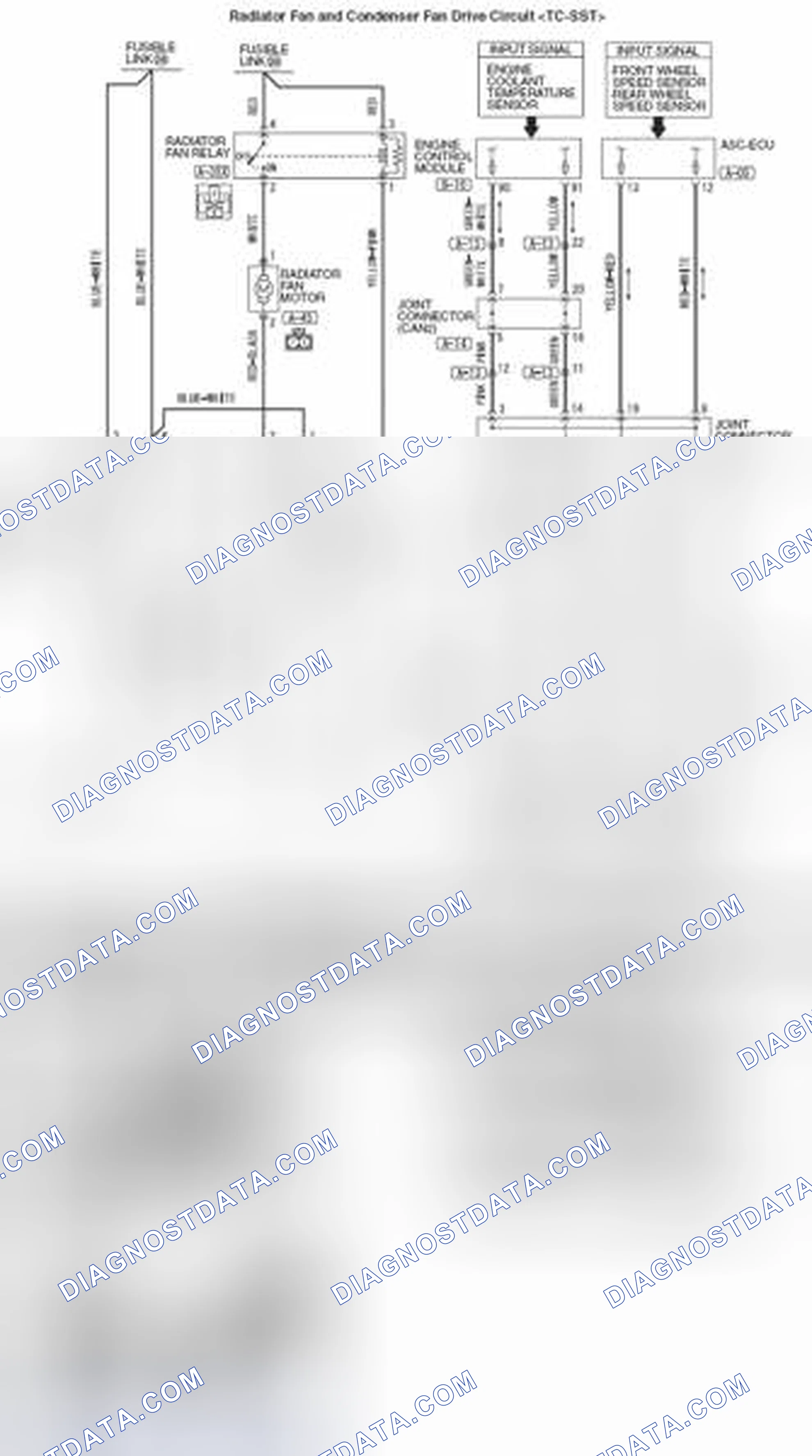 Scheme 5