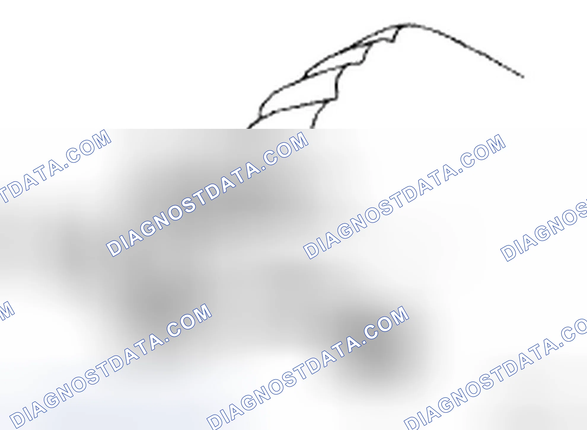 Scheme 526: INSPECTION