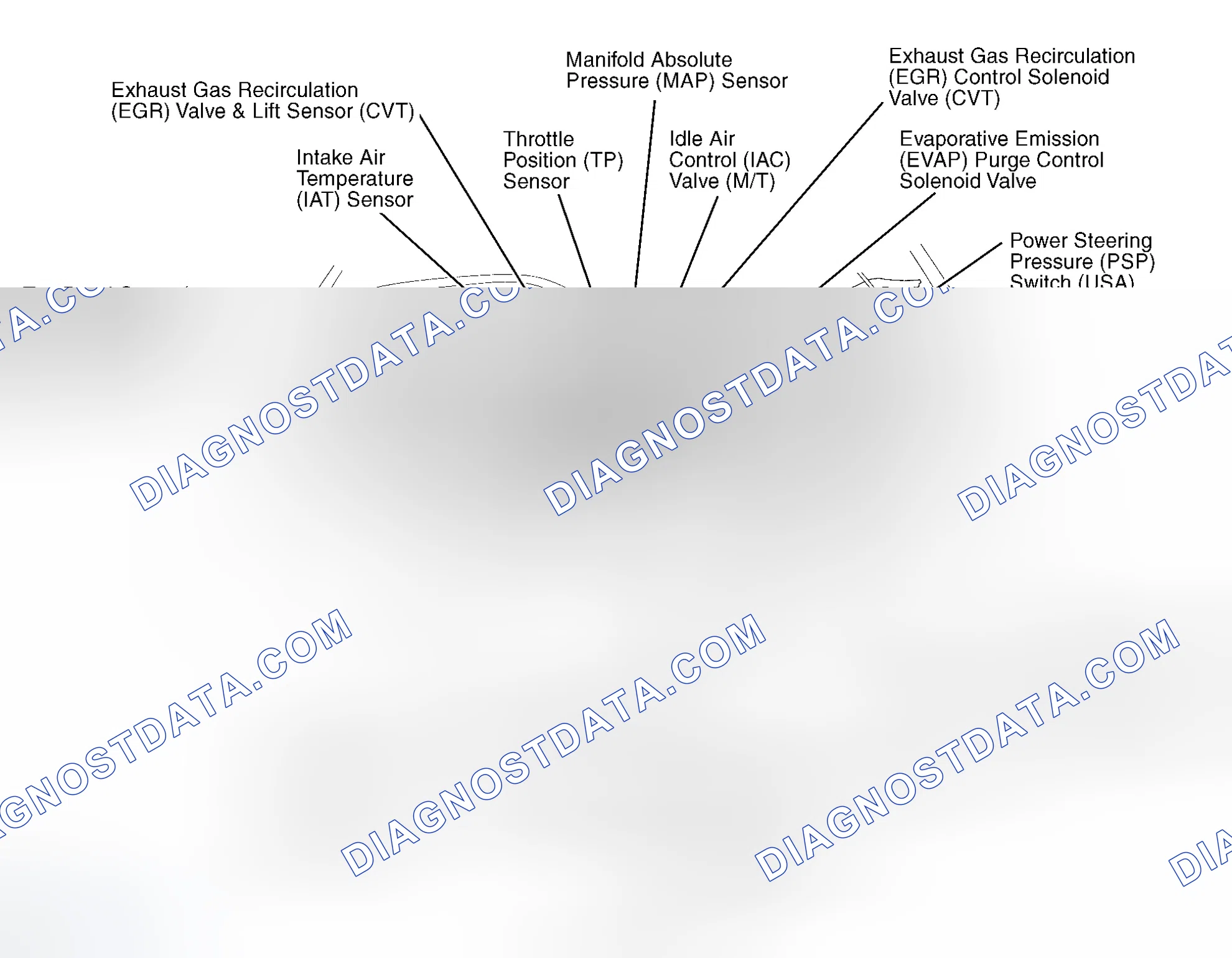Scheme 4: Engine Compartment (1.6L SOHC VTEC-E)
