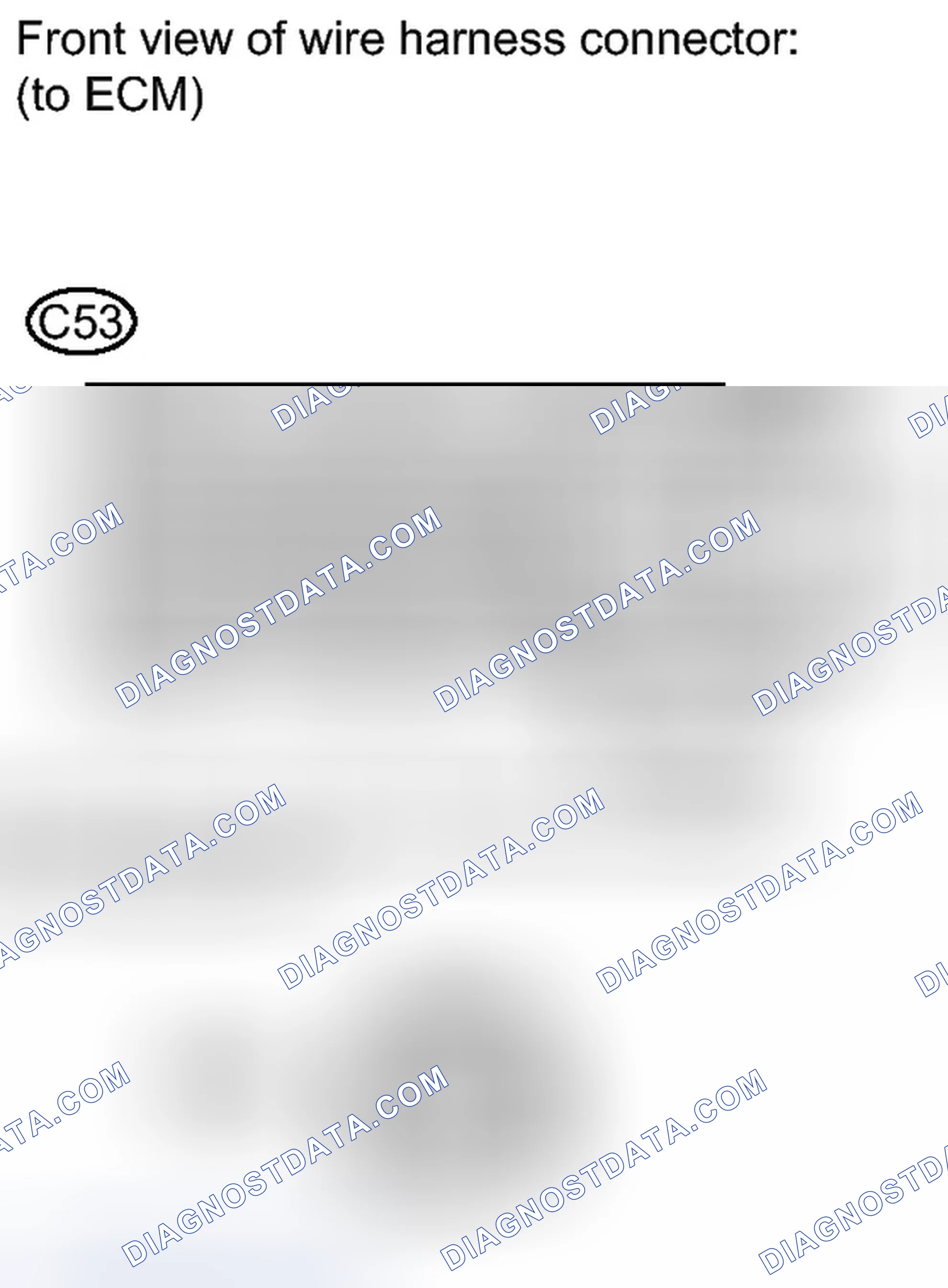 Scheme 205